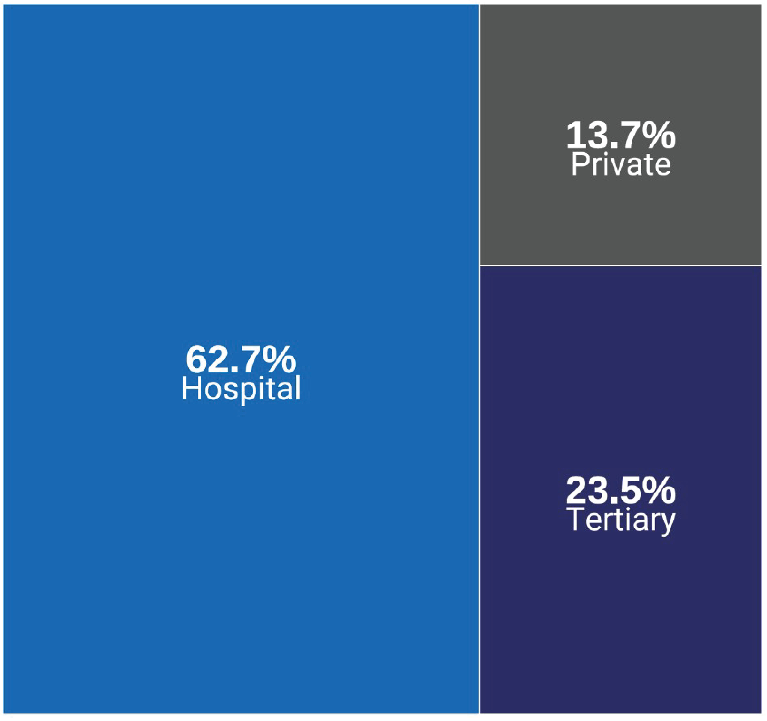 Treemap of the types of PET-CT imaging facilities in Canada, across provinces and territories, in 2022–2023. The proportion of sites that correspond to each facility type (hospital, tertiary, private, or community) is displayed.