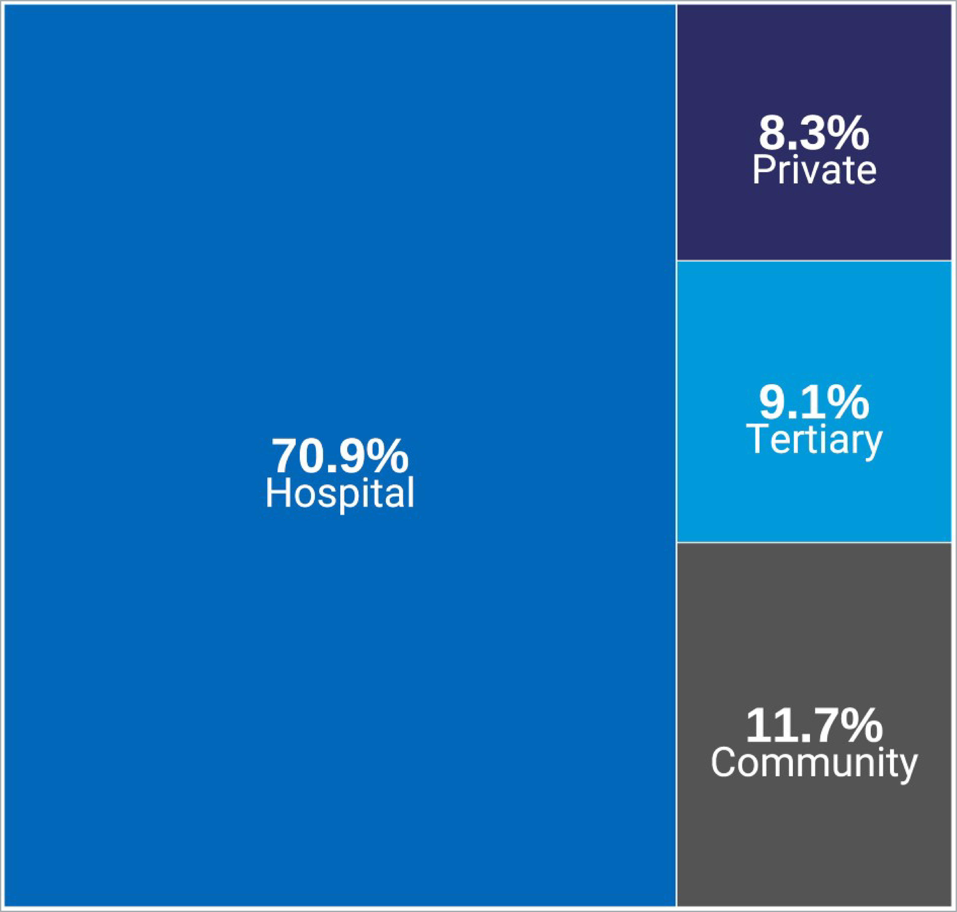 Treemap of the types of CT imaging facilities in Canada, across provinces and territories, in 2022–2023. The proportion of sites that correspond to each facility type (hospital, community, tertiary, or private) is displayed.