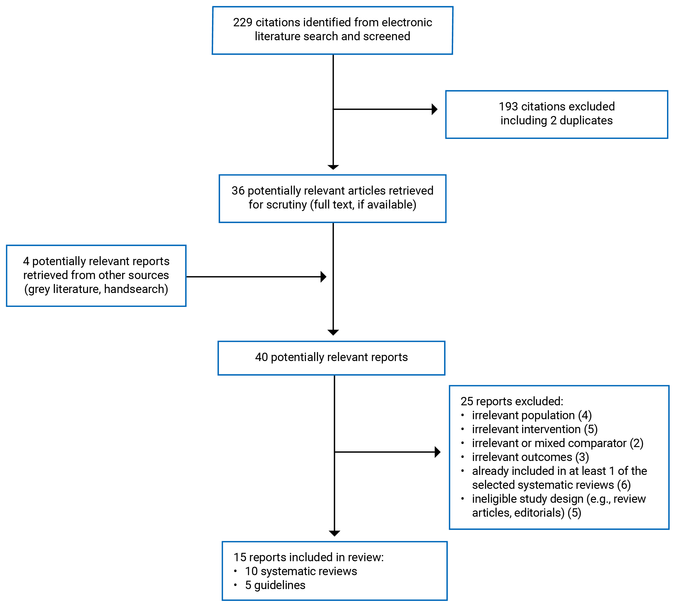 A flow diagram showing 229 citations were identified and 193 were excluded. There were 4 potentially relevant reports retrieved from other sources, for a total of 40 potentially relevant articles and grey literature reports retrieved for scrutiny. In total, 25 were excluded and 15 reports were included in the review.