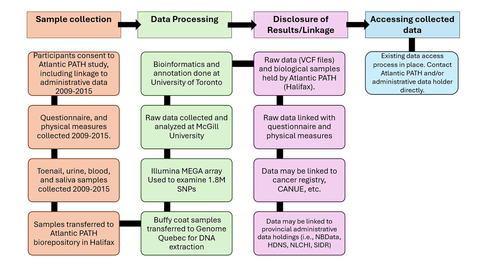 The process of how Atlantic PATH’s genomic samples were initially collected, analyzed, stored, and reported, as well as how to access it for secondary use. Consent for genetic testing and research use was collected, and DNA was extracted from toenail, urine, and blood samples provided by participants. VCF files are produced after analysis, and raw data and samples are stored in the Atlantic PATH repository. Data can be used for secondary research. Contact Atlantic PATH directly for process to access data.