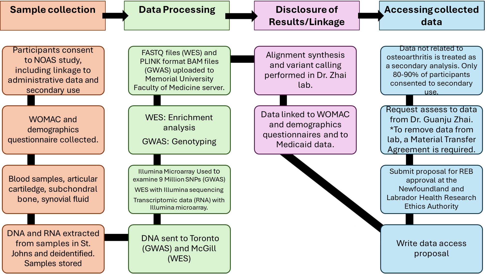 The process of how samples for the Newfoundland Osteoarthritis cohort were initially collected and analyzed, how data were stored and reported, and how it can be accessed for secondary use. Participants provide consent to participate in the Newfoundland Osteoarthritis Research Study as well as linkage to administrative data and secondary data use. Blood, articular cartilage subchondral bone, and synovial fluid samples were collected, and deidentified DNA and RNA was sent externally for processing. FASTQ, PLINK format, and BAM files were provided to Dr. Zhai at Memorial University. Secondary use of the data is possible following submission of a data access proposal and approval from the Newfoundland and Labrador Health REB.