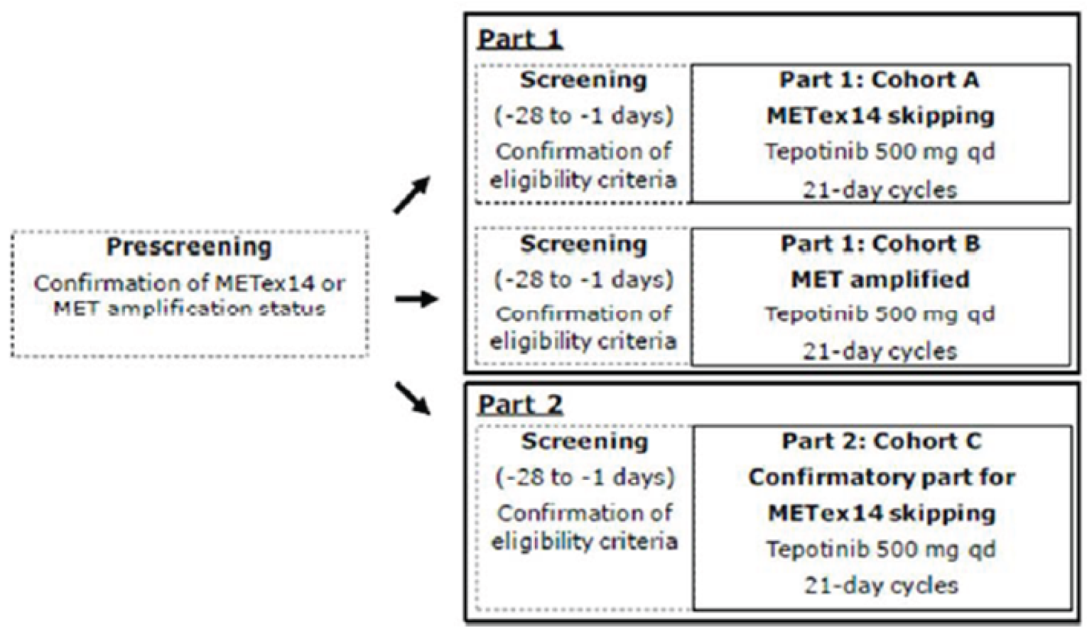 First, patients underwent pre-screening to confirm METex14 or MET amplification status. Next, all patients underwent a 28-day screening period and were treated with tepotinib hydrochloride 500 mg in 21-day cycles. Part 1 of the study consisted of the pivotal cohort A (METex14 skipping) and cohort B (MET amplification); Part 2 consisted of the confirmatory cohort C (METex14 skipping).