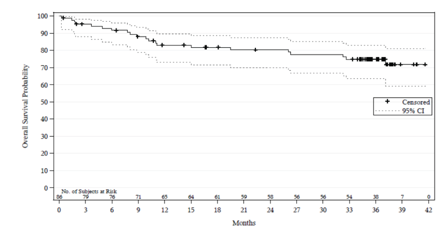 Kaplan–Meier plot depicting overall survival in the Study 206 trial.