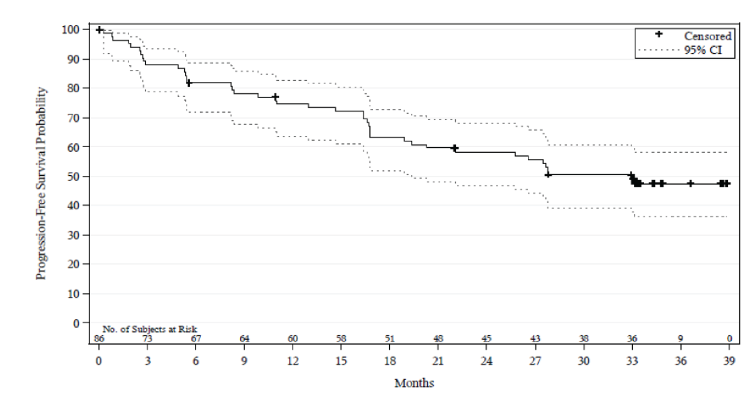 Kaplan–Meier plot depicting the investigator-assessed progression-free survival in the Study 206 trial.
