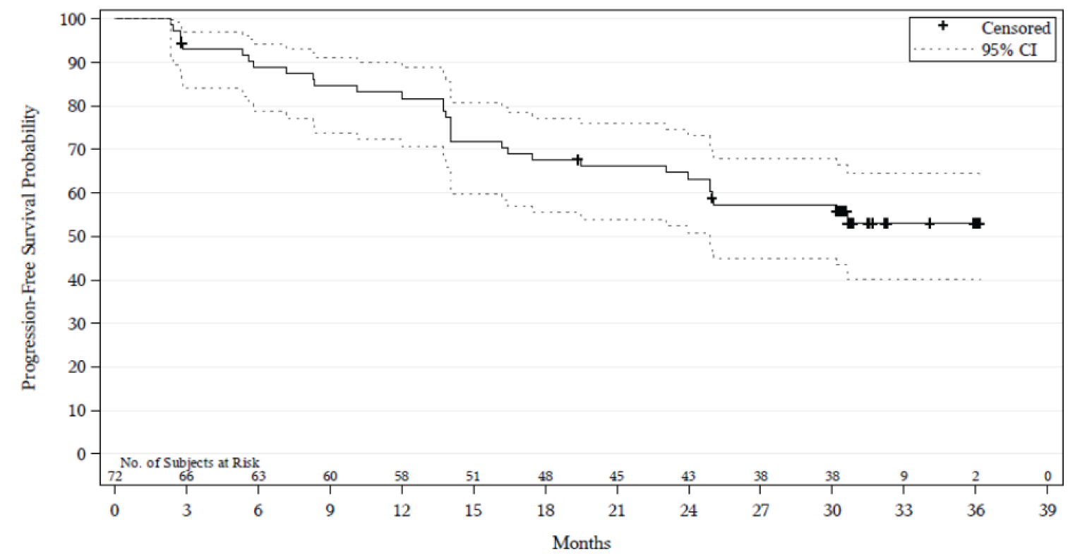 Kaplan–Meier plot depicting the investigator-assessed duration of response in the Study 206 trial.