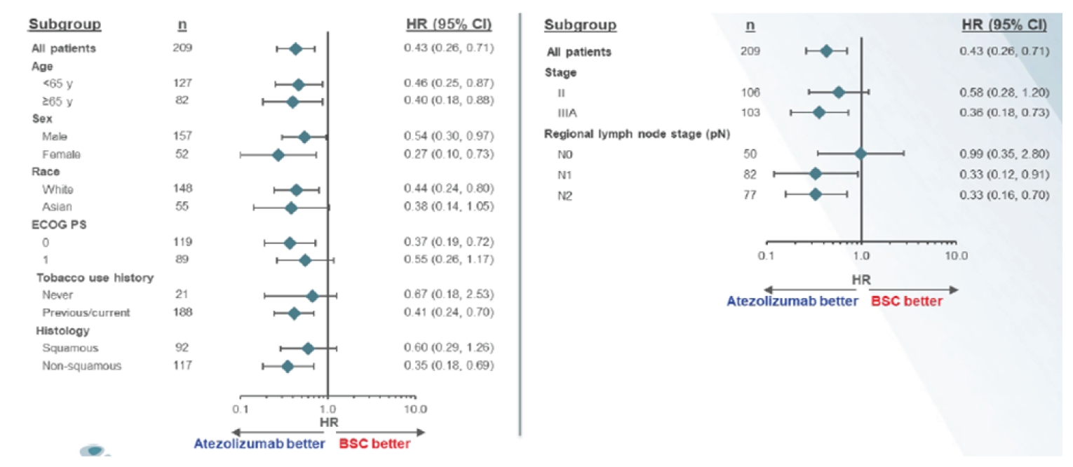 Forest plots for subgroup analysis for DFS, excluding patients who where positive for EGFR or ALK mutation.