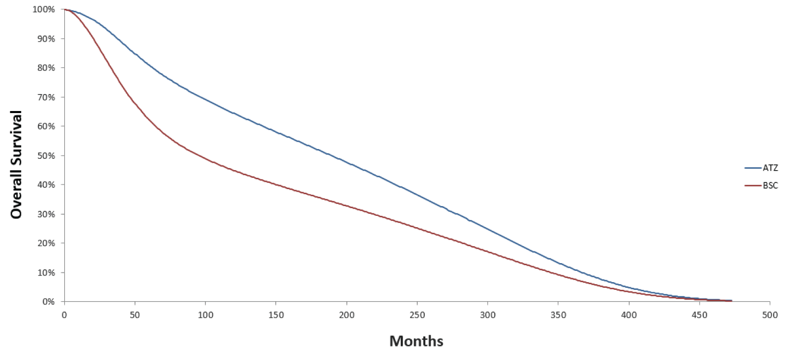 Line graph depicting the overall survival of patients in the sponsor’s model based on the sponsor’s chosen parametric survival extrapolations. The proportion of patients still in the disease-free state is on the y-axis and the time in months is depicted on the x-axis. Patients on atezolizumab are predicted to experience a greater proportion of patients remaining alive in comparison with best supportive care.