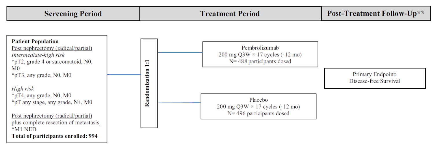 Diagram presenting the study design of the KEYNOTE-564 trial. To be eligible, all patients needed to have a confirmed diagnosis of RCC with a clear cell component. Patient consent and eligibility were confirmed in the screening period. Patients were then randomized via an Interactive Voice and Web Response System to receive either pembrolizumab or placebo. Tumour assessments were conducted during this period every 12 weeks. All patients who completed 17 cycles of study treatment or discontinued for a reason other than disease recurrence entered the follow-up period, during which follow-up assessments were conducted every 12 weeks during year 1, every 16 weeks during years 2 to 4, and every 24 weeks during and after year 5.