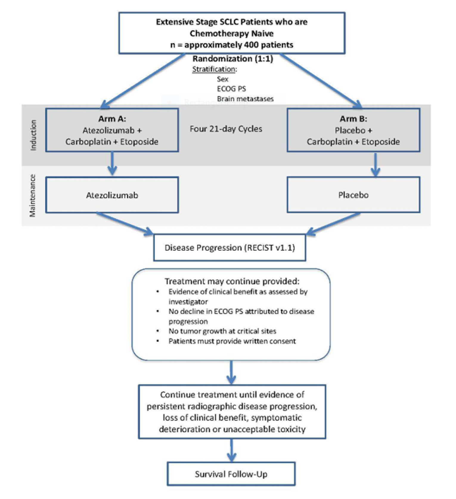 Approximately 400 patients with ES-SCLC were randomized 1:1 to receive four 21-day cycles of atezolizumab plus carboplatin and etoposide or placebo plus carboplatin and etoposide in the induction phase, followed by atezolizumab or placebo in the maintenance phase until disease progression or unacceptable toxic effects.