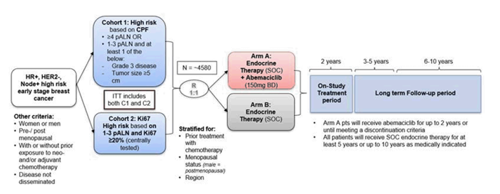 Phases of the monarchE study in which patients with HR-positive, HER2-negative, node-positive, high-risk early-stage breast cancer were randomized 1:1 to receive either abemaciclib plus endocrine therapy or endocrine therapy alone. Abemaciclib was administered for up to 2 years or until meeting a discontinuation criterion. All patients would receive standard of care endocrine therapy for at least 5 years and up to 10 years as medically indicated.