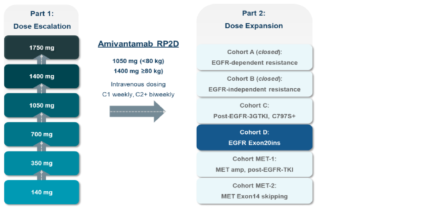 Schematic overview of the phase I/b CHRYSALIS study, consisting of a dose-escalation phase (part 1) to determine the maximally tolerated dose of amivantamab, and a dose-expansion phase (part 2) in which patients were treated at the recommended phase II dose. Part 1 consisted of a dose-escalation phase in which patients were treated in 1 of 6 monotherapy dose cohorts starting at 140 mg, escalating to 350 mg, 700 mg, 1,050 mg, 1,400 mg, and 1,750 mg. In part 2, patients in 4 cohorts were treated at the recommended phase II dosages of 1,050 mg and 1,400 mg for patients weighing less than 80 kg and greater than or equal to 80 kg, respectively.