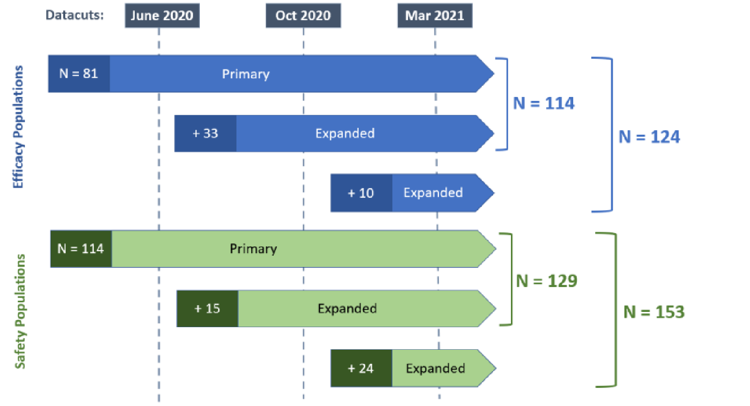 Visual depiction of patient enrolment over time to the analysis populations in cohort D of CHRYSALIS. As of the June 2020 data cut-off (DCO), the primary efficacy population comprised 81 patients, which included patients who received the first dose of amivantamab as monotherapy on or before February 5, 2020, and were to have undergone at least 3 scheduled postbaseline disease assessments. These patients were followed throughout the interim analyses for longer follow-up. An additional 33 patients were added to the efficacy population (the expanded efficacy population) as of the October 2020 DCO, for a total of 114 patients. As of the March 30, 2021, DCO, 10 more patients were added to the efficacy population, for a total of 124 patients. These patients are included as the additional efficacy population. As of the June 2020 DCO, 114 patients had received at least 1 dose of amivantamab monotherapy and made up the safety population. At the October 2020 and March 30, 2021, DCOs, 15 and 24 additional patients, respectively, were enrolled, for a total of 153 patients in the safety analysis set.