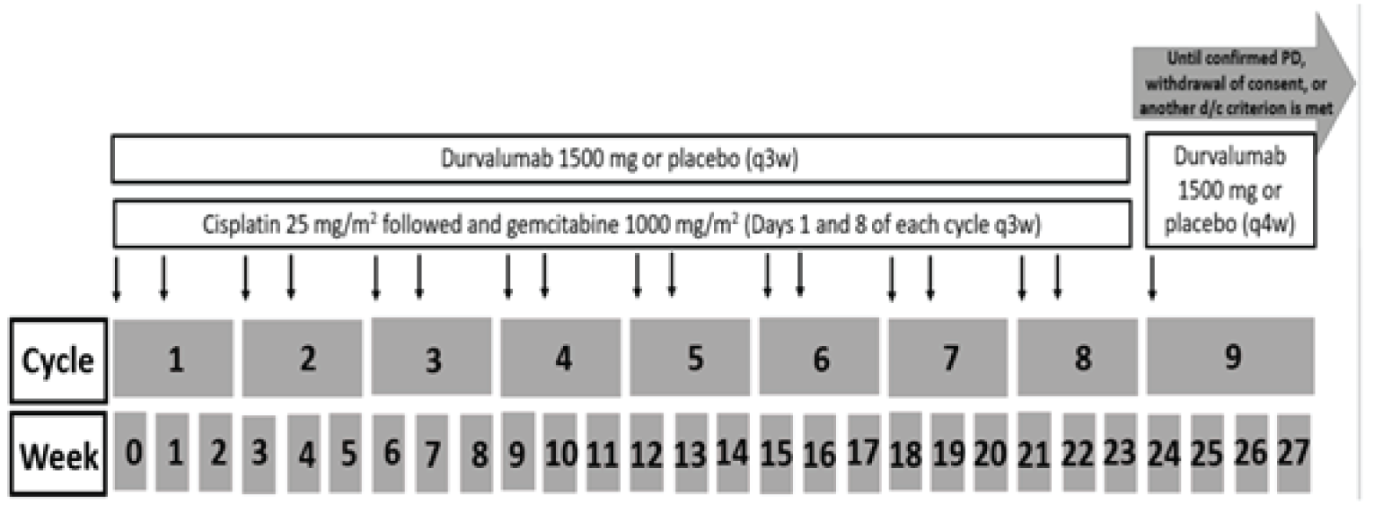 Durvalumab or placebo plus gemcitabine and cisplatin was administered for a maximum of 8 cycles every 3 weeks. Patients subsequently received durvalumab or placebo monotherapy every 4 weeks until clinical progression or RECIST 1.1-defined radiological PD, unacceptable toxicity, withdrawal of consent, or another discontinuation criterion was met.