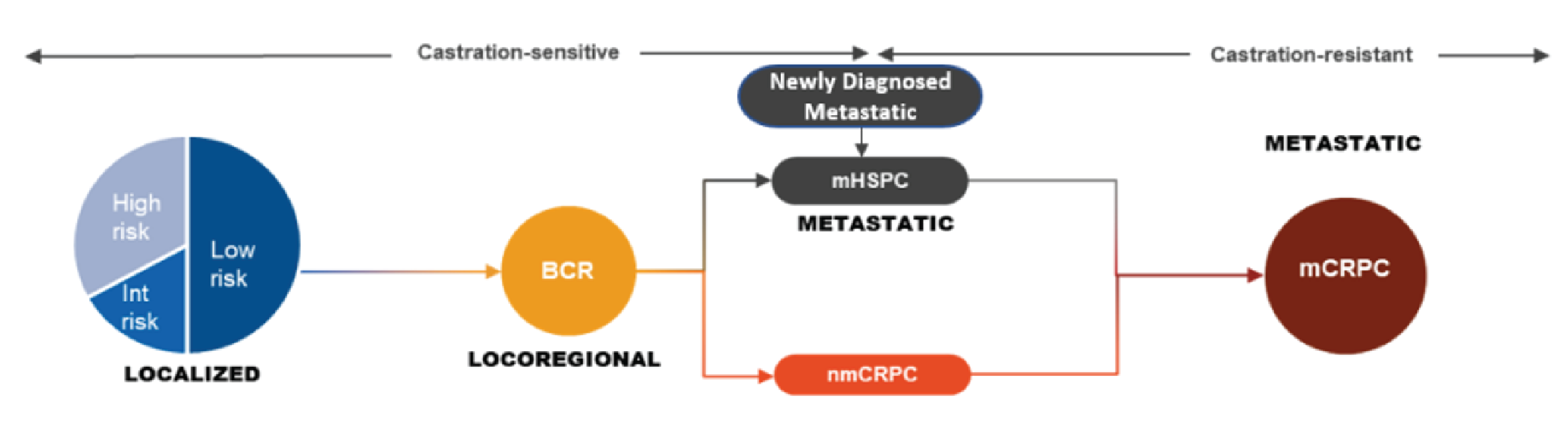 Progression of prostate cancer from localized disease to metastatic castration-resitant disease.