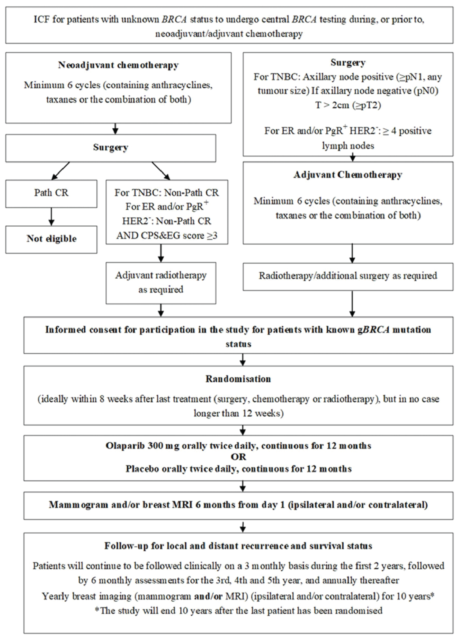 After screening parts 1 and 2, patients were randomized in a 1:1 ratio to receive either olaparib at 300 mg twice daily or matching placebo in a double-blind manner. The randomization of patients was stratified by hormone receptor status (ER or PgR), HER2-negative versus TNBC, prior neoadjuvant versus adjuvant chemotherapy, and prior platinum use for breast cancer. Patients must have completed all local therapy and at least 6 cycles of neoadjuvant or adjuvant chemotherapy. The patient should have been randomized to the OlympiA study, ideally within a maximum of 8 weeks after the completion of the last treatment, including surgery, chemotherapy, or radiation therapy, but in no case longer than 12 weeks. Treatment with olaparib was given for up to 12 months or until disease recurrence or unacceptable toxicity, whichever occurred first. Safety and clinical assessments were performed for approximately 10 years. The study will end approximately 10 years after the last patient was randomized.