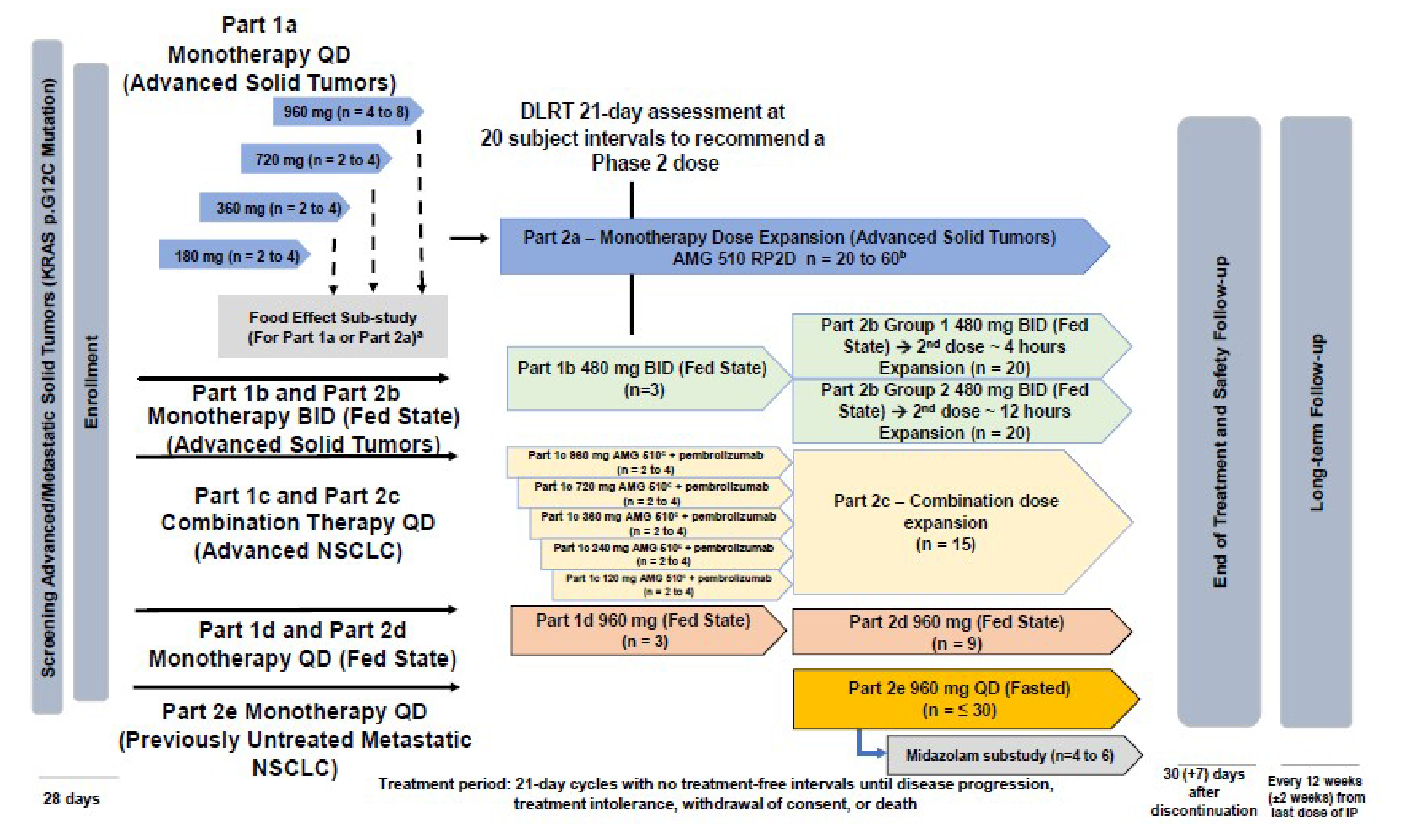 This figure illustrates the study design of the CodeBreaK 100 study. After a 28-day screening and enrolment period, patients were enrolled in the phase I dose exploration and expansion portion of the CodeBreaK 100 study, evaluating the safety, tolerability, and PK and pharmacodynamic parameters of the maximum tolerated dose of sotorasib. Patients who moved into phase II of the CodeBreaK 100 study received sotorasib without interruption until disease progression. Patients underwent a safety follow-up visit 30 days after the last dose of sotorasib and were then followed every 12 weeks for up to 3 years.