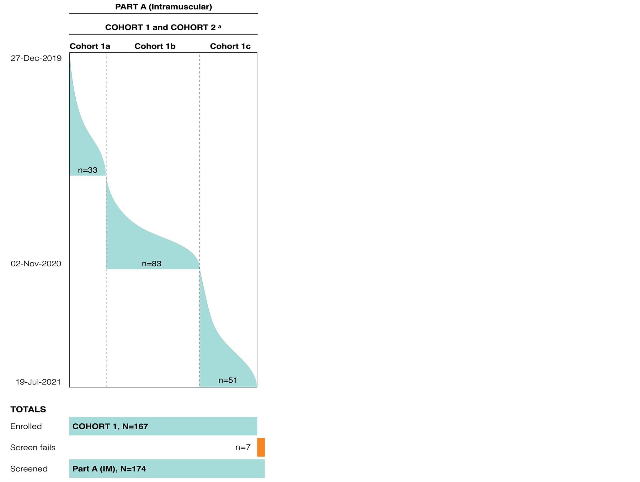 A flow chart showing the flow and number of patients in part A of the study. Starting on December 2019, part A of the study (intramuscular dose) included cohorts 1 and 2. Within cohort 1 were subcohorts 1a and 1b, which flowed down until November 2020, when cohort 1c was created and followed until the cut-off date of July 19, 2021.