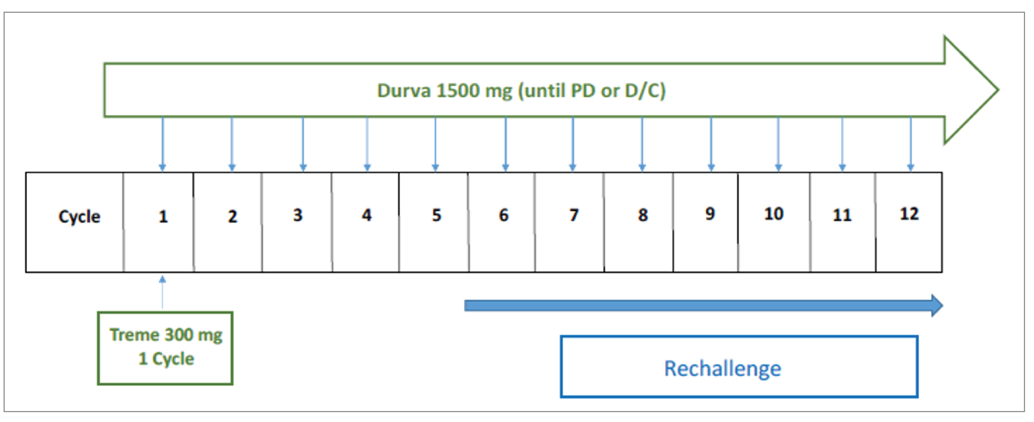 Patients received 1 dose of tremelimumab (300 mg) by IV infusion co-administered with 1 dose of durvalumab (1,500 mg) by IV infusion on day 1, followed by durvalumab 1,500 mg every 4 weeks until confirmed progressive disease, or any discontinuation criteria were met.