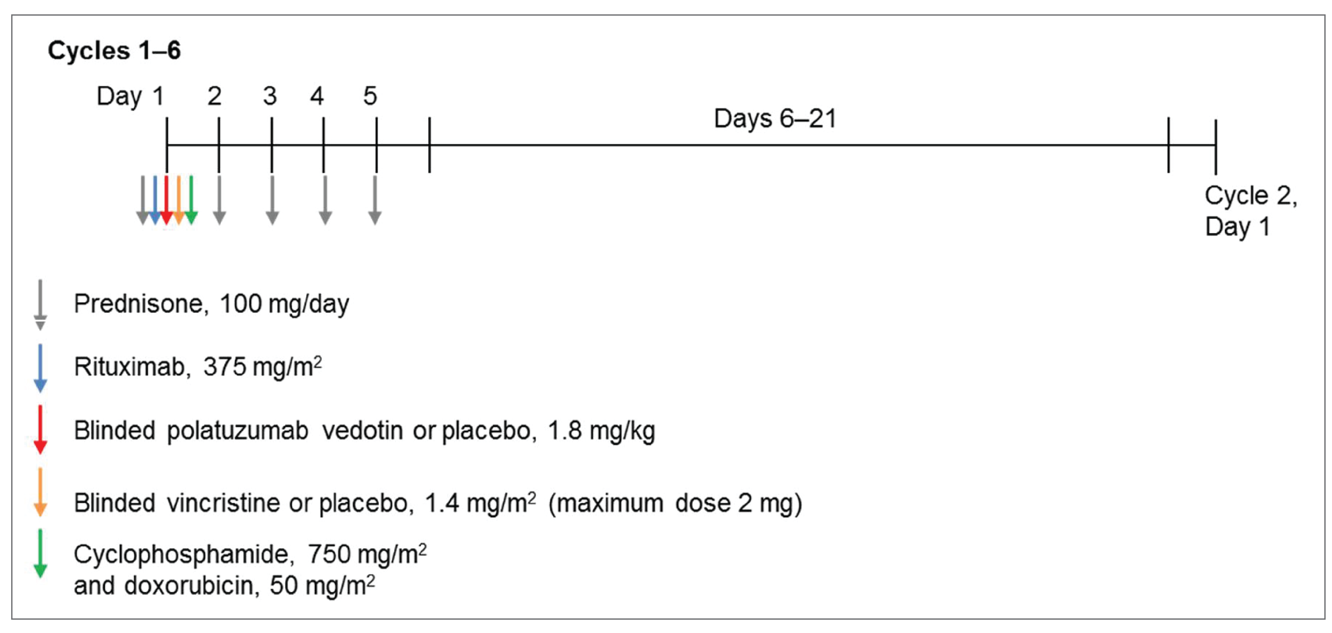 Figure 1 depicts the dose regimens of pola-R-CHP and R-CHOP from day 1 to day 21 of each cycle for 6 cycles. In cycles 1 to 6, rituximab infusion should be completed before starting any other drug administered by infusion (i.e., blinded polatuzumab vedotin or its placebo, blinded vincristine or its placebo, doxorubicin, and cyclophosphamide). Each of cycle 1 through 6 were ordered in the following sequence: first, prednisone; second, rituximab; and third, blinded polatuzumab vedotin or its placebo. Subsequent infusions of blinded vincristine or its placebo, cyclophosphamide, and doxorubicin were administered according to institutional preference. Cycles 7 and 8 consisted of rituximab monotherapy.