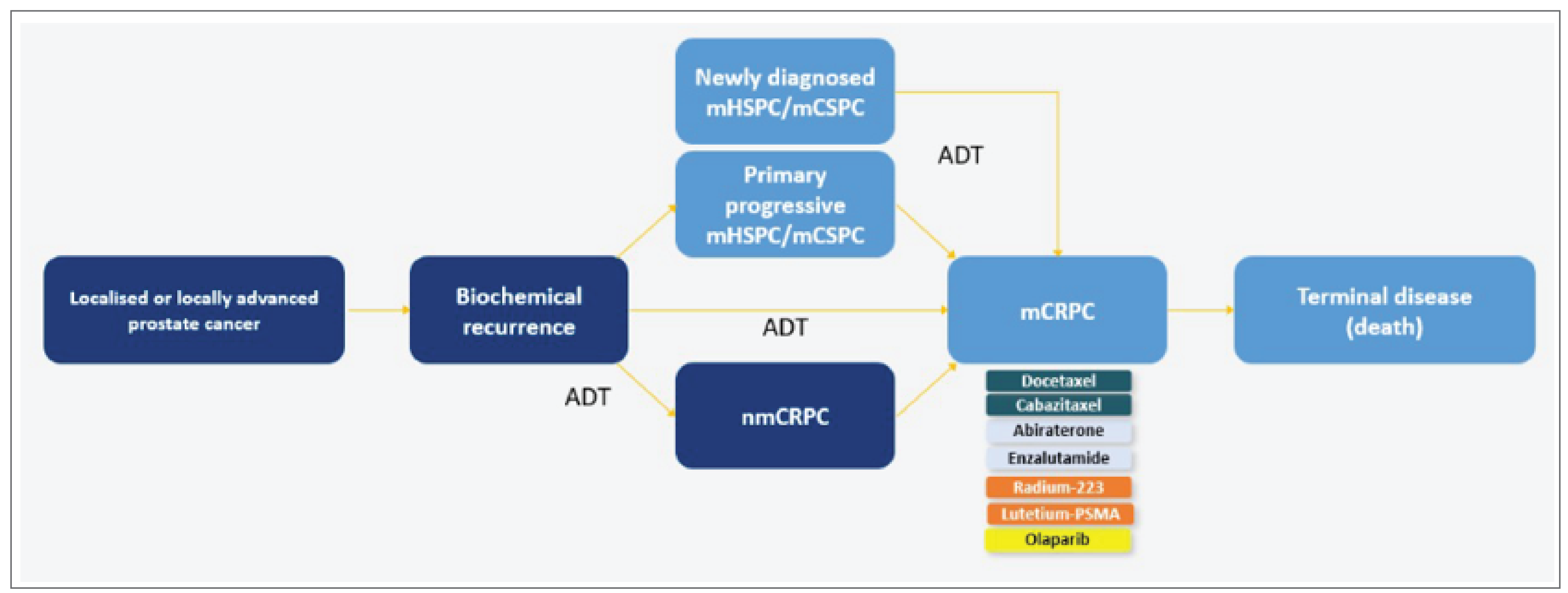 PC0319SI-fig04.png