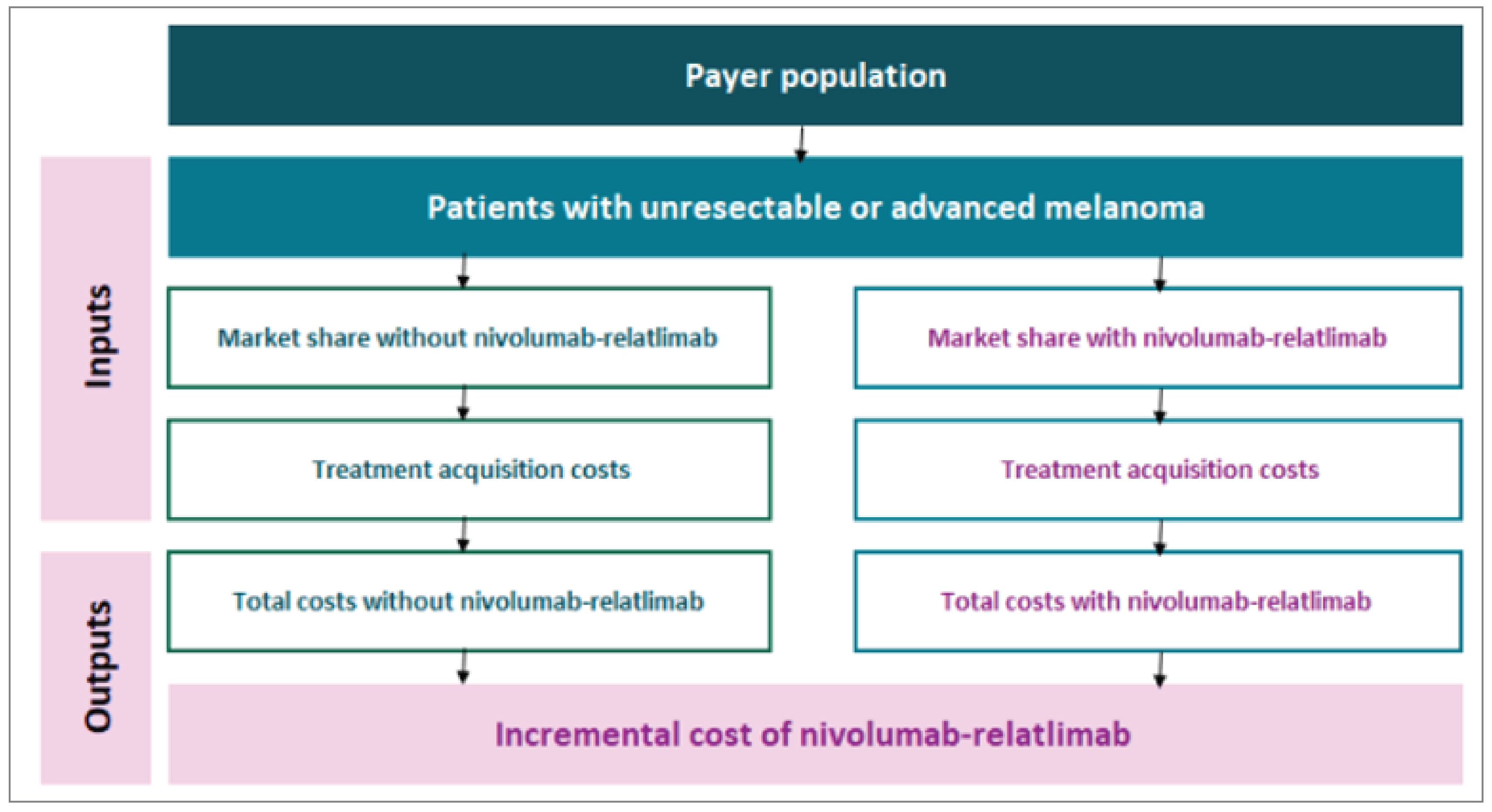 A flow chart diagram describing the selection of the eligible patient population. It begins with the full payer population and is filtered through the number of patients with unresectable or advanced melanoma. It considers market share and treatment cost with and without Opdualag as inputs. It ends with the total costs with and without Opdualag, and the total budget impact being the difference between those 2 output values.