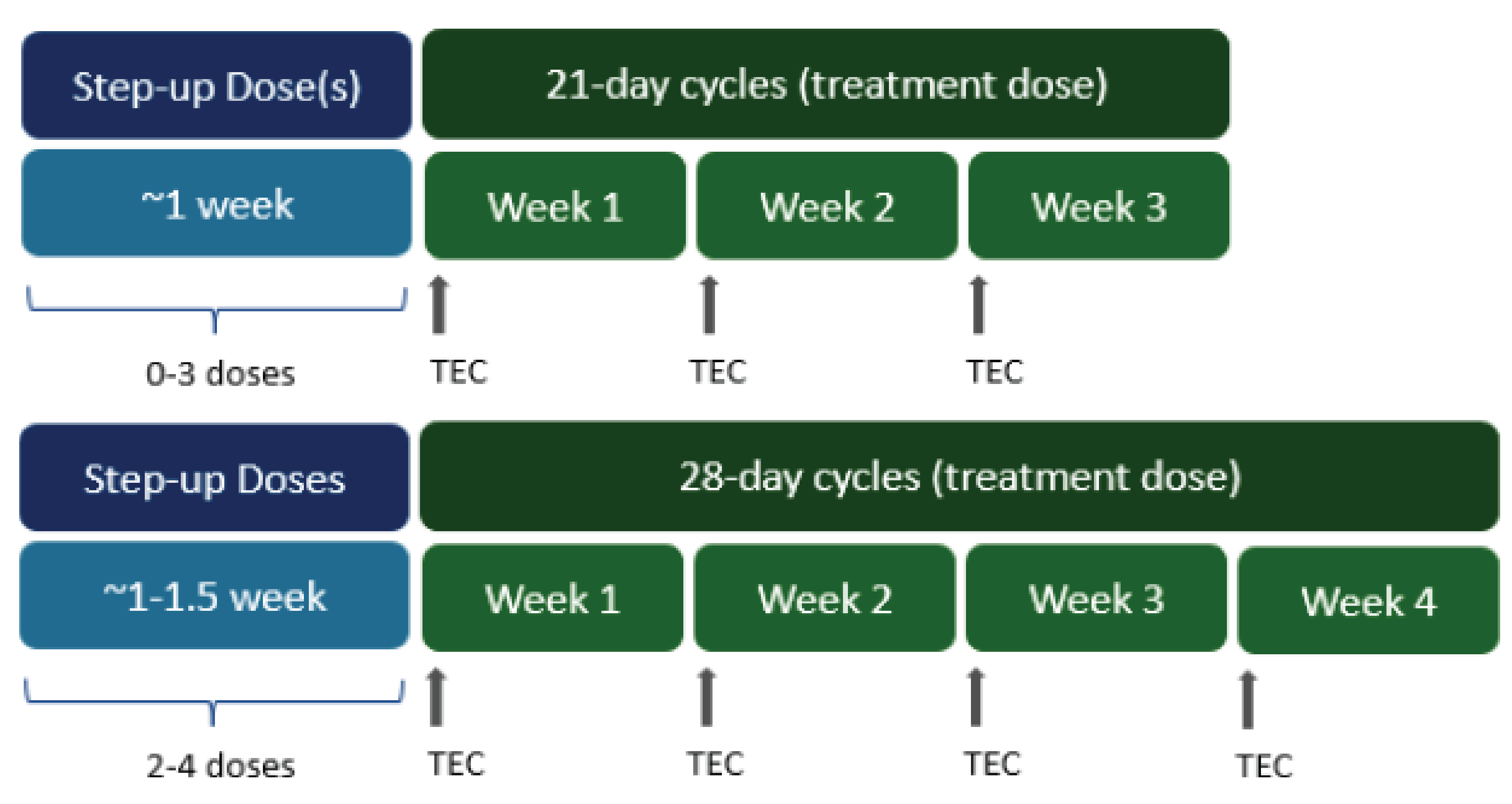 Cycles administered to patients participating in phase I of the MajesTEC-1 study were 21 days or 28 days in length, depending on the dosing schedule.