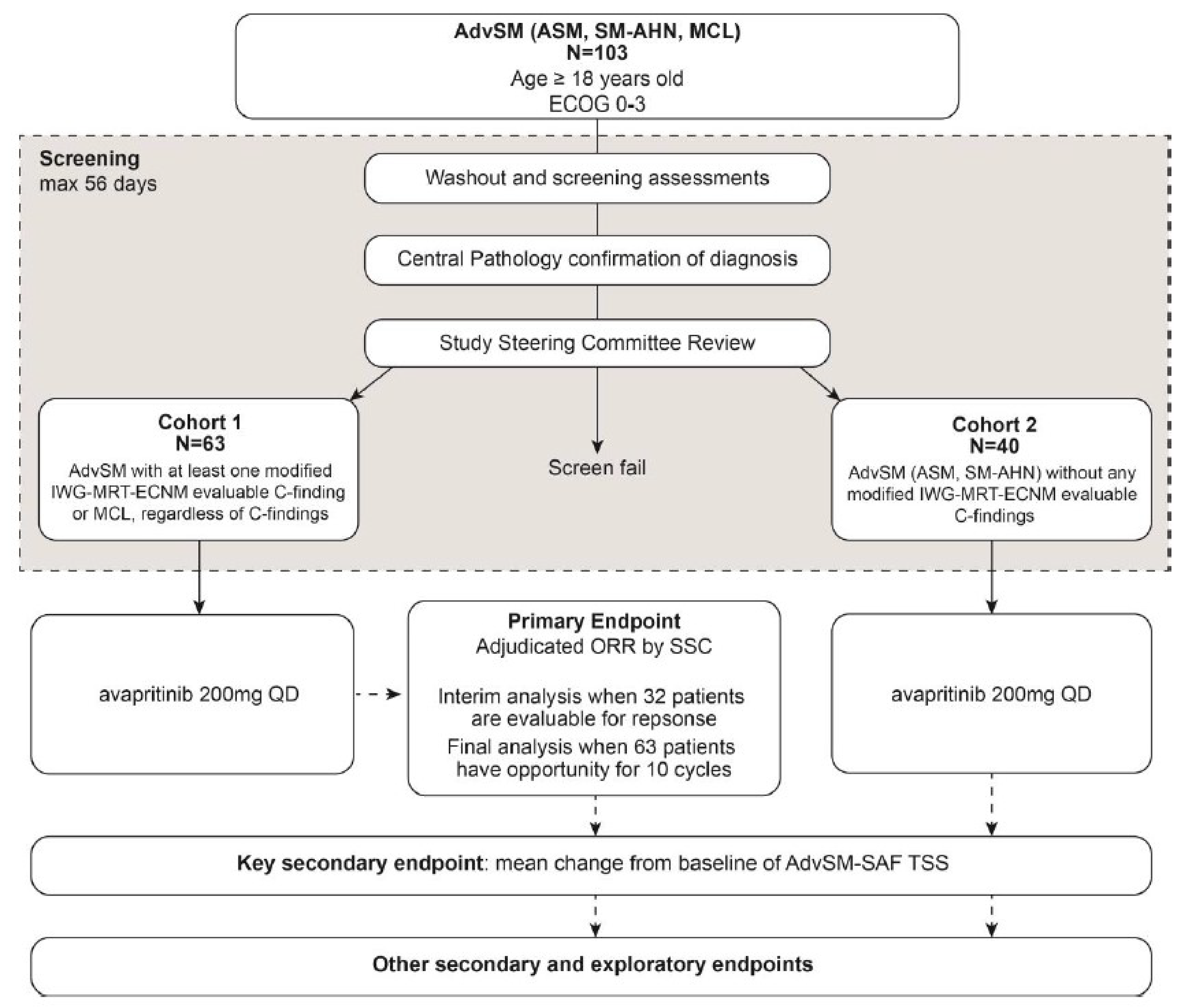 Based on the interim data cut-off, 103 patients with a confirmed diagnosis of AdvSM were enrolled in the PATHFINDER study in either cohort 1 or cohort 2. Patients received a 200 mg daily avapritinib starting dose. The primary end point was ORR, with a planned interim analysis when 32 patients were evaluable for response, and the final analysis when there were 63 patients who had had the opportunity to complete 10 cycles. The key secondary end point was the mean change from baseline in the AdvSM-SAF TSS.
