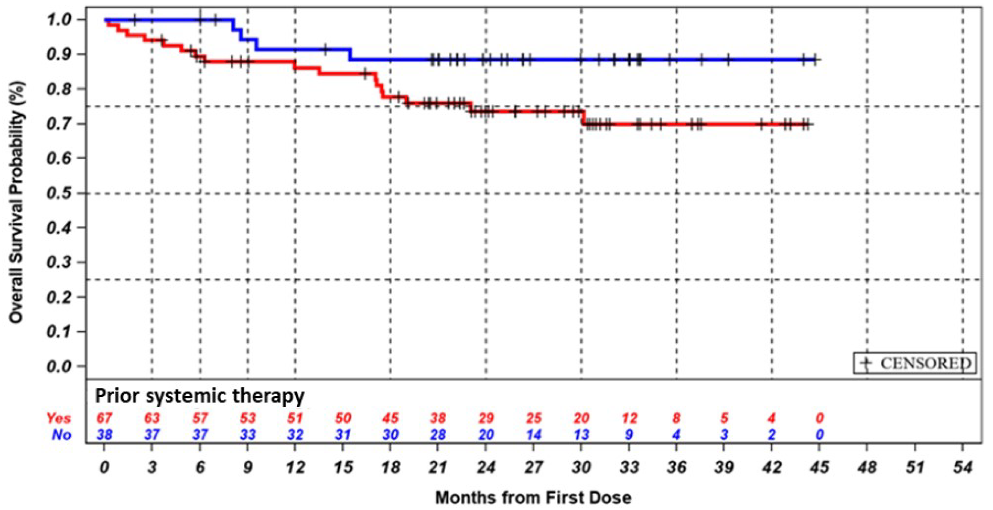 The survival curves of the subgroups with or without prior exposure to systemic therapies diverged early, with treatment-naive patients showing a better overall survival than patients with treatment experience. At 24 months, approximately 90% and 75% of patients were alive in the treatment-naive and treatment experienced subgroups, respectively.