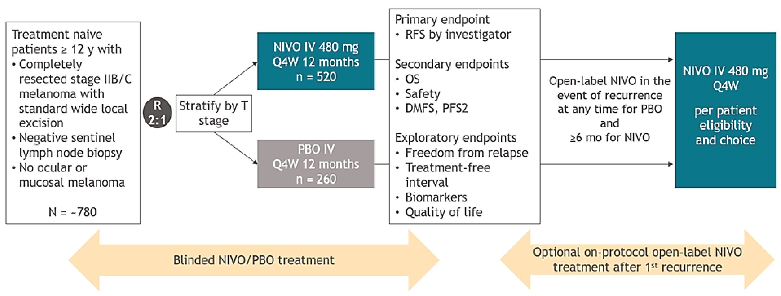 This figure describes the design of CHECKMATE-76K, which begins with a blinded phase that compares nivolumab to placebo and then transitions to an open-label phase as described in the Study Design section; Source: BMS 2021 [CSR].