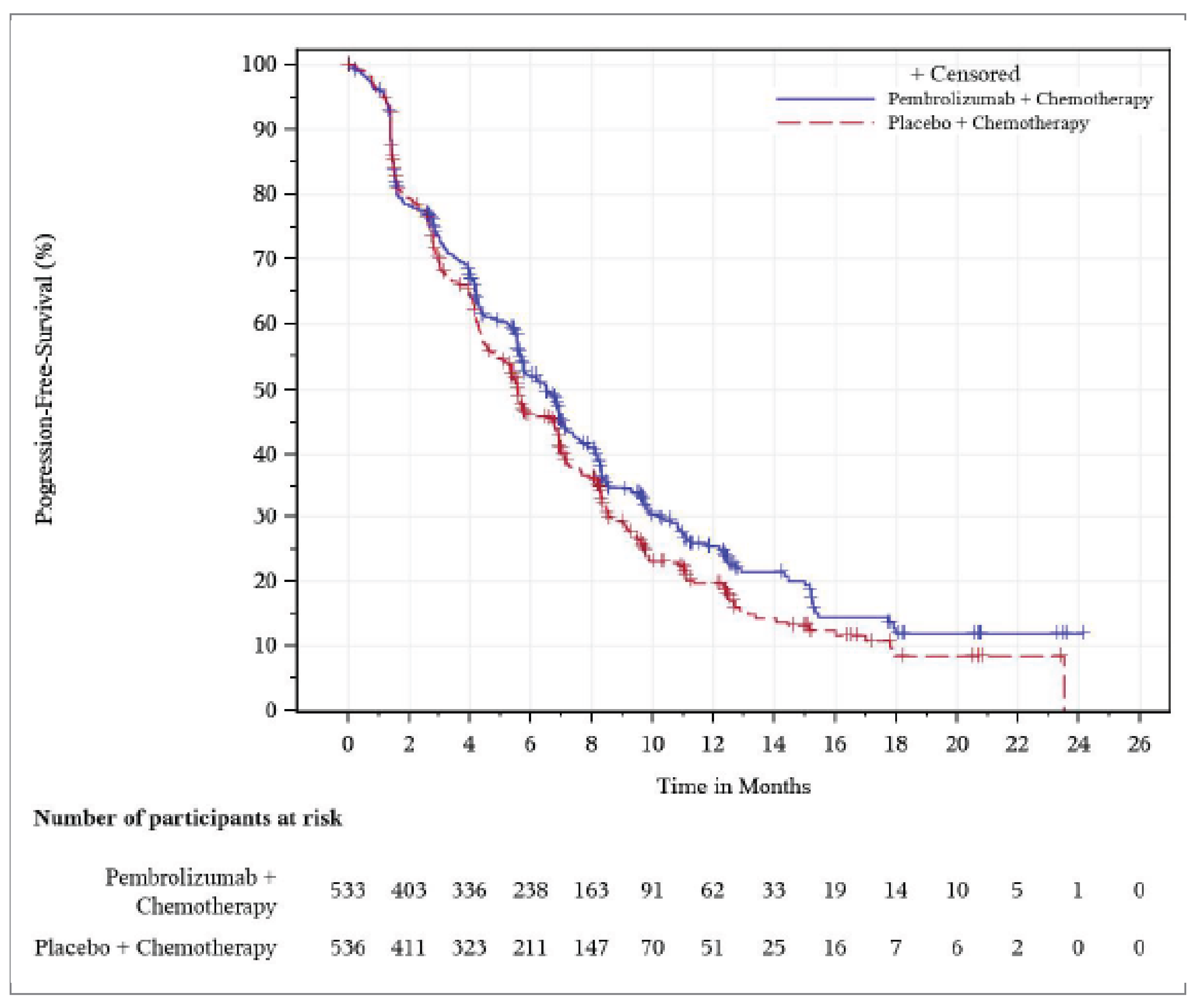 Figure 5 shows the Kaplan-Meier curves of progression-free survival at IA1 (December 15, 2021, data cut-off date).