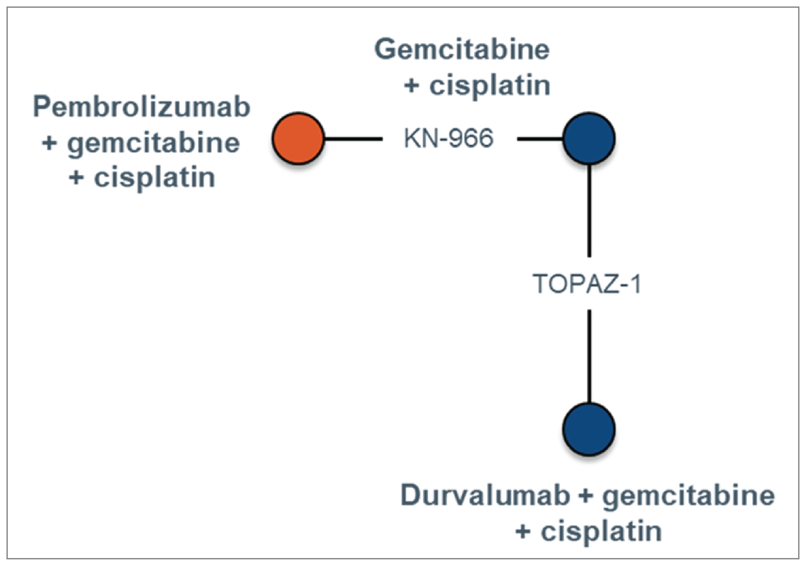 Two trials were included in this network. Both pembrolizumab plus chemotherapy and durvalumab plus chemotherapy were connected to chemotherapy plus placebo.