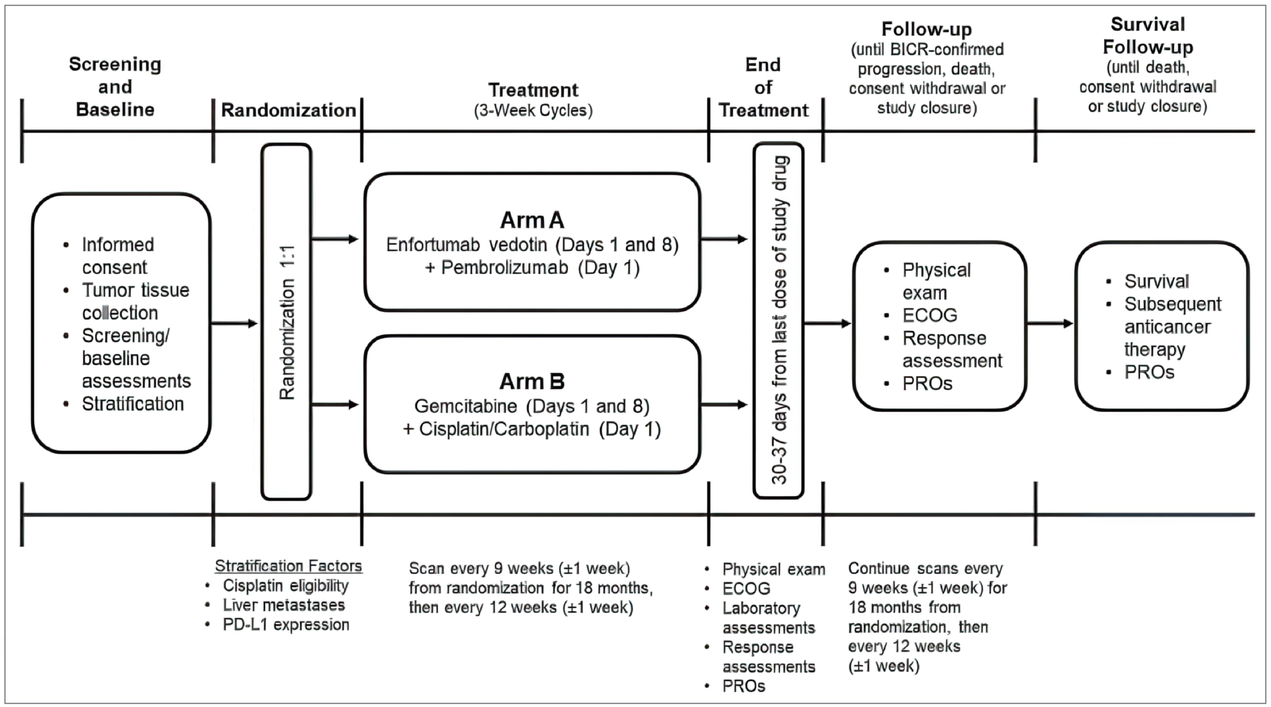 A schematic of the EV-302 trial phases, including screening phase, treatment phase, follow-up phase, and survival follow-up phase, and describing the randomization, stratification factors and outcome assessed.