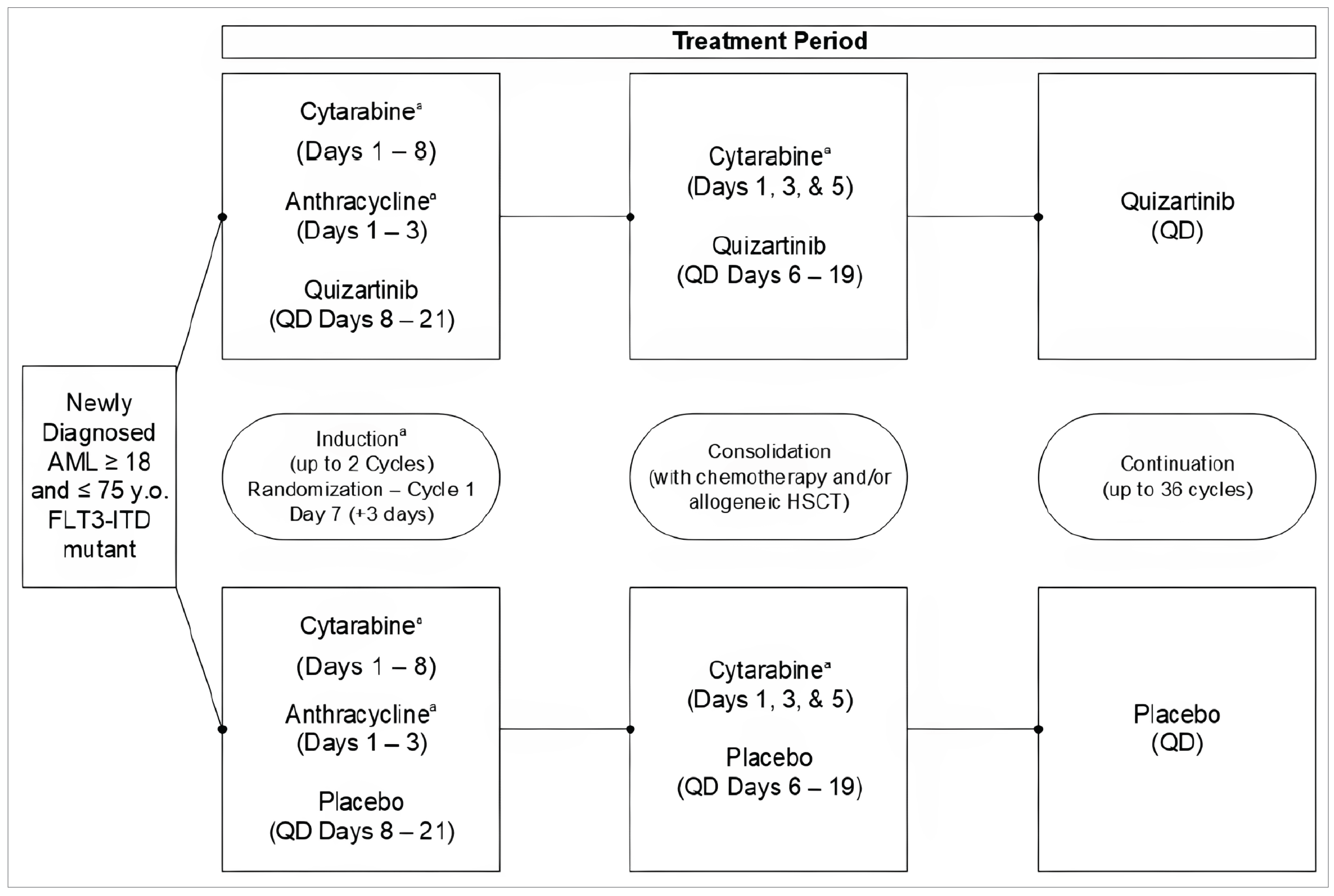 Patients aged 18 to 75 years with newly diagnosed AML that is FLT3-ITD positive were randomized in a 1:1 ratio to quizartinib or placebo, in combination with standard induction (cytarabine and an anthracycline) and consolidation (cytarabine) chemotherapy (and/or allogeneic HSCT), then administered as maintenance therapy for up to 36 cycles. The study consisted of 4 consecutive phases: induction, consolidation, maintenance, and long-term follow-up. In each phase, each cycle was 28 days in duration.