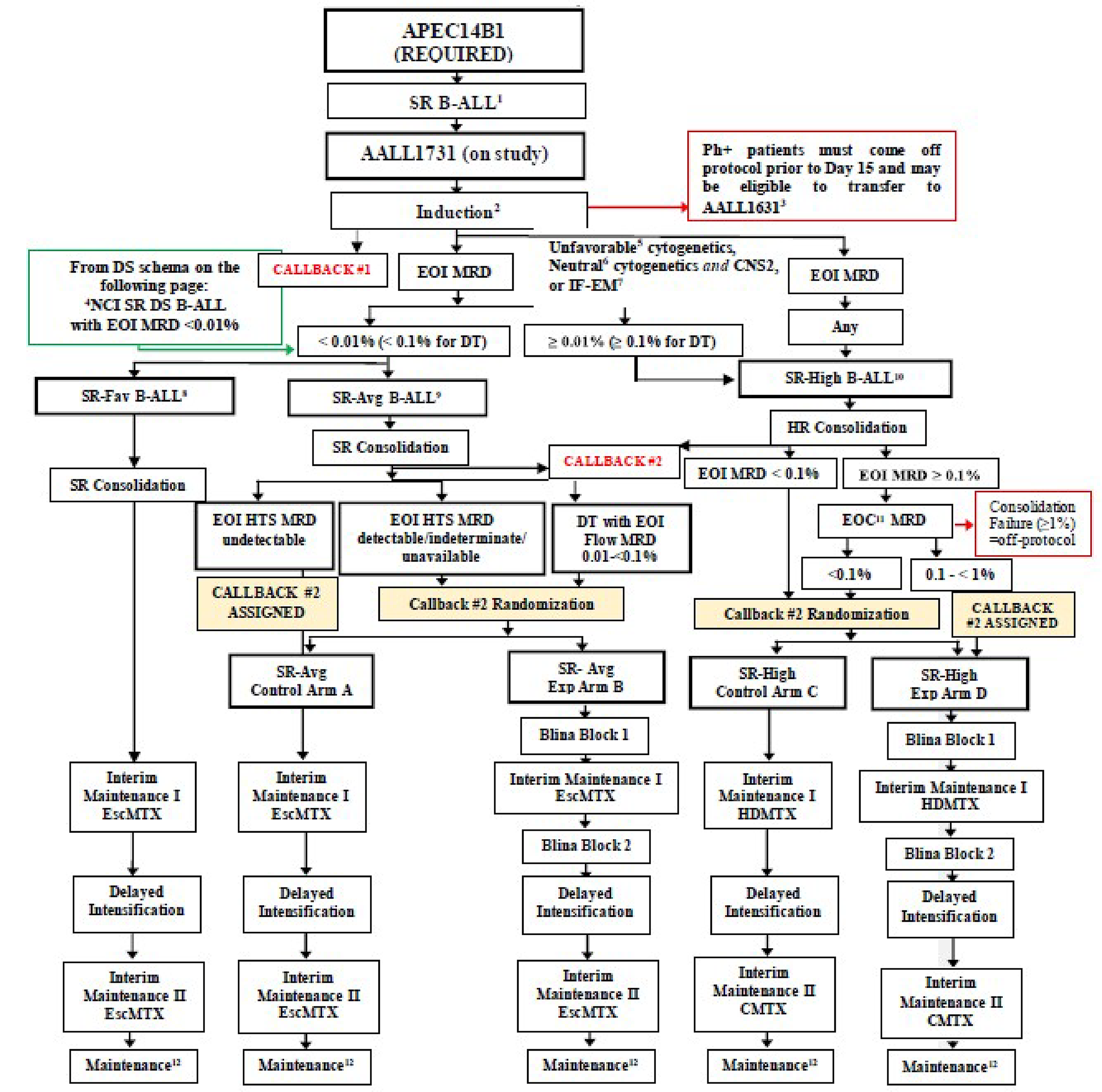 Flow chart of the movement of patients through the AALL1731 trial, from enrolment in APEC14B1, confirmation of standard-risk (SR) B-cell acute lymphoblastic leukemia, and receipt of induction therapy, to stratification into SR-favourable, SR-average, and SR-high cohorts. Patients with SR-average without double trisomy of chromosomes 4 and 10 (DT) and detectable end-of-induction minimal residual disease (MRD) by high-throughput screening, with SR-average and DT with end-of-induction MRD of 0.01% to less than 0.1%, and with SR-high with end-of-induction MRD greater than or equal to 0.1% and end-of-consolidation MRD less than 1% were randomized to either the blinatumomab plus chemotherapy arm or chemotherapy for consolidation treatment. All randomized patients received maintenance treatment.