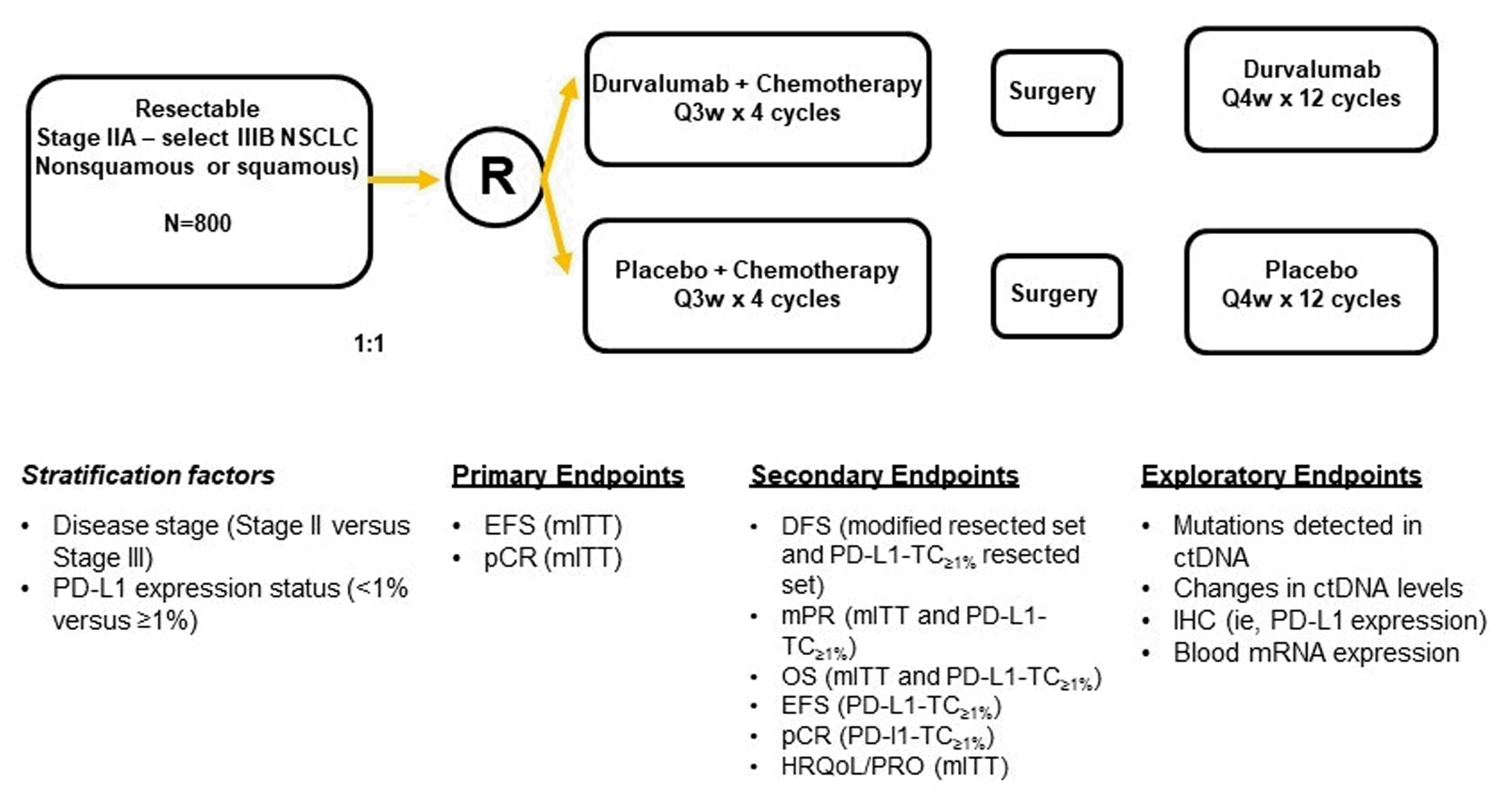This schematic describes the flow of patients through the AEGEAN study, from screening against the inclusion criteria to randomization along with the primary, key secondary, and exploratory end points. Patients were randomized 1:1 according to disease stage and PD-L1 expression level to receive either perioperative durvalumab 1,500 mg IV infusion in combination with neoadjuvant platinum-based chemotherapy or placebo IV infusion in combination with neoadjuvant platinum-based chemotherapy and placebo in the adjuvant setting. In both arms, treatment was given every 3 weeks for 4 cycles in the neoadjuvant setting and every 4 weeks for 12 cycles in the adjuvant setting.