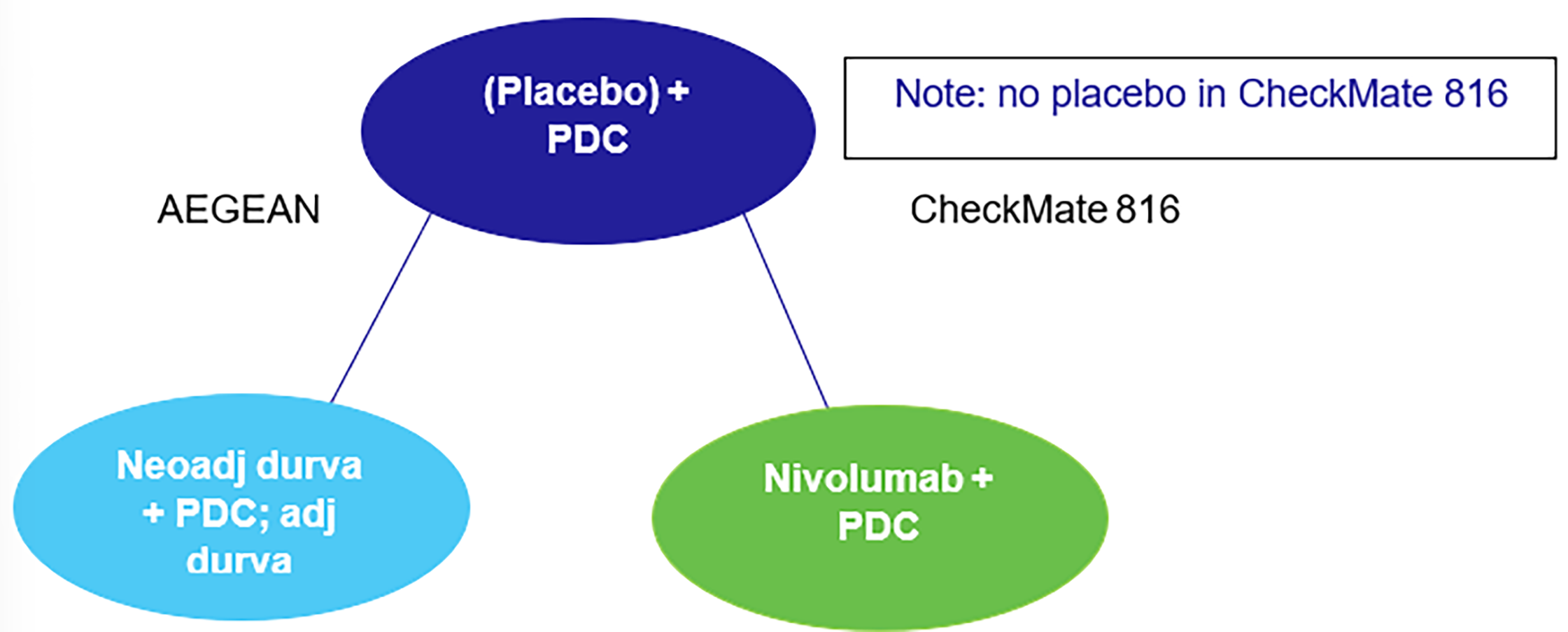 This anchored diagram shows that in this network, there are 3 therapies: neoadjuvant durvalumab + PDC + adjuvant durvalumab (the AEGEAN study), neoadjuvant nivolumab + chemotherapy (the CheckMate 816 study’s ITT population), and placebo + PDC. These 3 therapies are connected by the common therapy of placebo + PDC from the AEGEAN and CheckMate 816 trials.