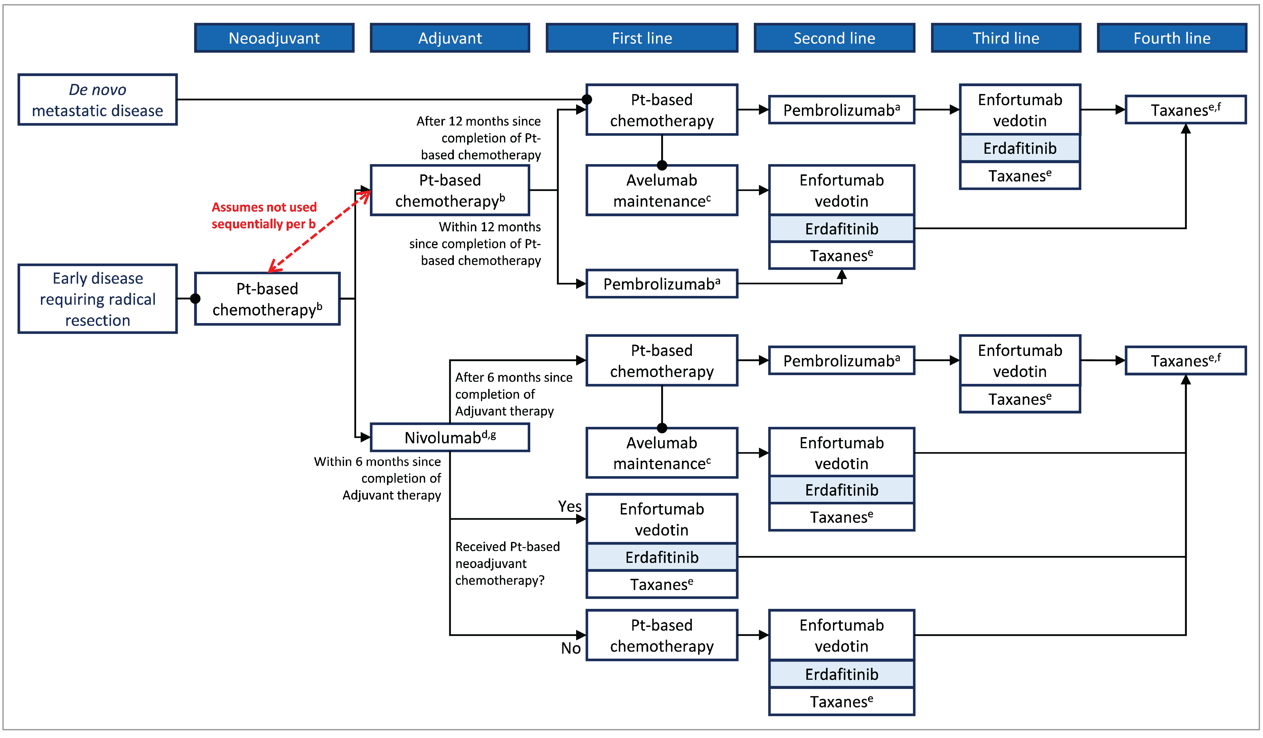 The figure depicts the flow of the proposed place in therapy for erdafitinib in a patient with la/mUC.