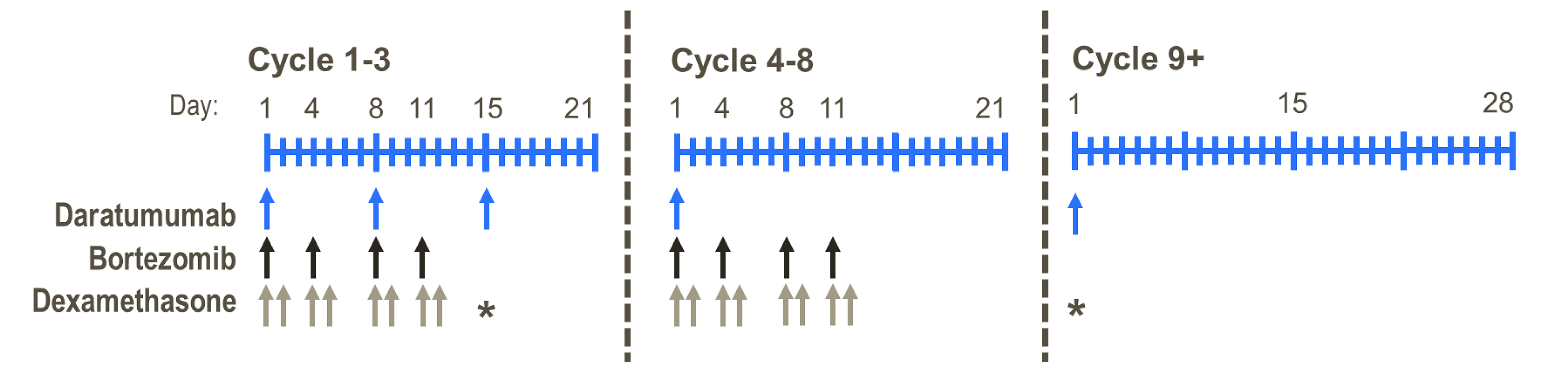 The figure presents the dosing schedule for patients receiving daratumumab in combination with bortezomib and dexamethasone in the DREAMM-7 trial.