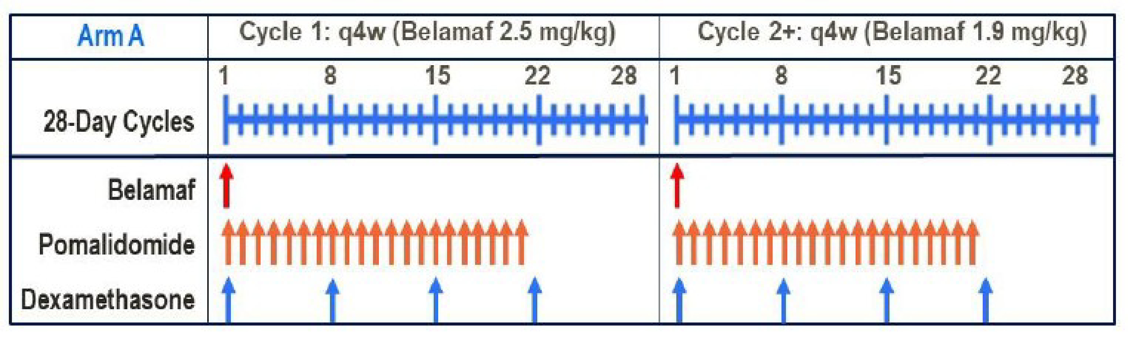 The figure depicts the dosing schedule for the belantamab mafodotin, pomalidomide, and dexamethasone treatment arm. Belantamab mafodotin was administered intravenously at a single dose of 2.5 mg/kg on day 1 of cycle 1 and 1.9 mg/kg on day 1 of cycle 2 onward in each 28-day cycle. Pomalidomide 4&nbsp;mg per day was administered orally on days 1 to 21 of each 28-day cycle. Dexamethasone 40&nbsp;mg per day was administered orally on days 1, 8, 15, and 22 of each 28-day cycle.