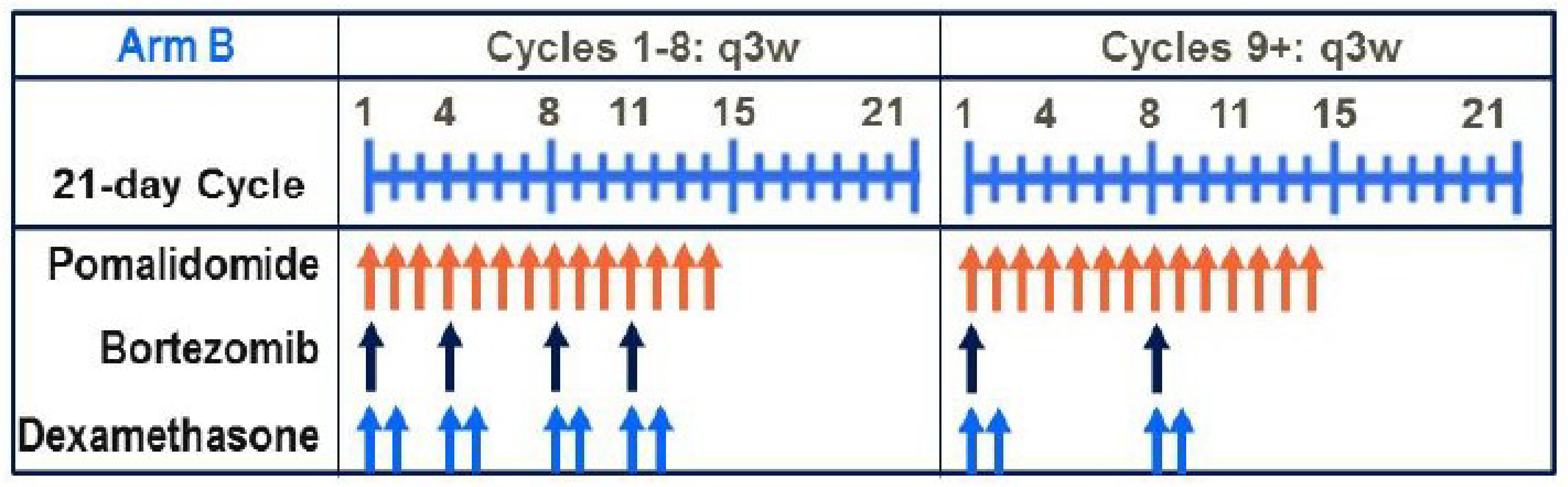 The figure depicts the dosing schedule for the pomalidomide, bortezomib, and dexamethasone arm. Pomalidomide 4&nbsp;mg was administered orally daily on days 1 to 14 of each 21-day cycle, with bortezomib 1.3&nbsp;mg per metre squared injected subcutaneously on days 1, 4, 8, and 11 of each 21-day cycle for cycles 1 through 8, and on days 1 and 8 of each 21-day cycle for cycles 9 and beyond. Dexamethasone was administered orally at a dose of 20&nbsp;mg on the day of and day after bortezomib of each 21-day cycle or on days 1, 2, 4, 5, 8, 9, 11, and 12 of each 21-day cycle for cycles 1 through 8, and then on days 1, 2, 8, 9, and every 3 weeks for cycles 9 and beyond.