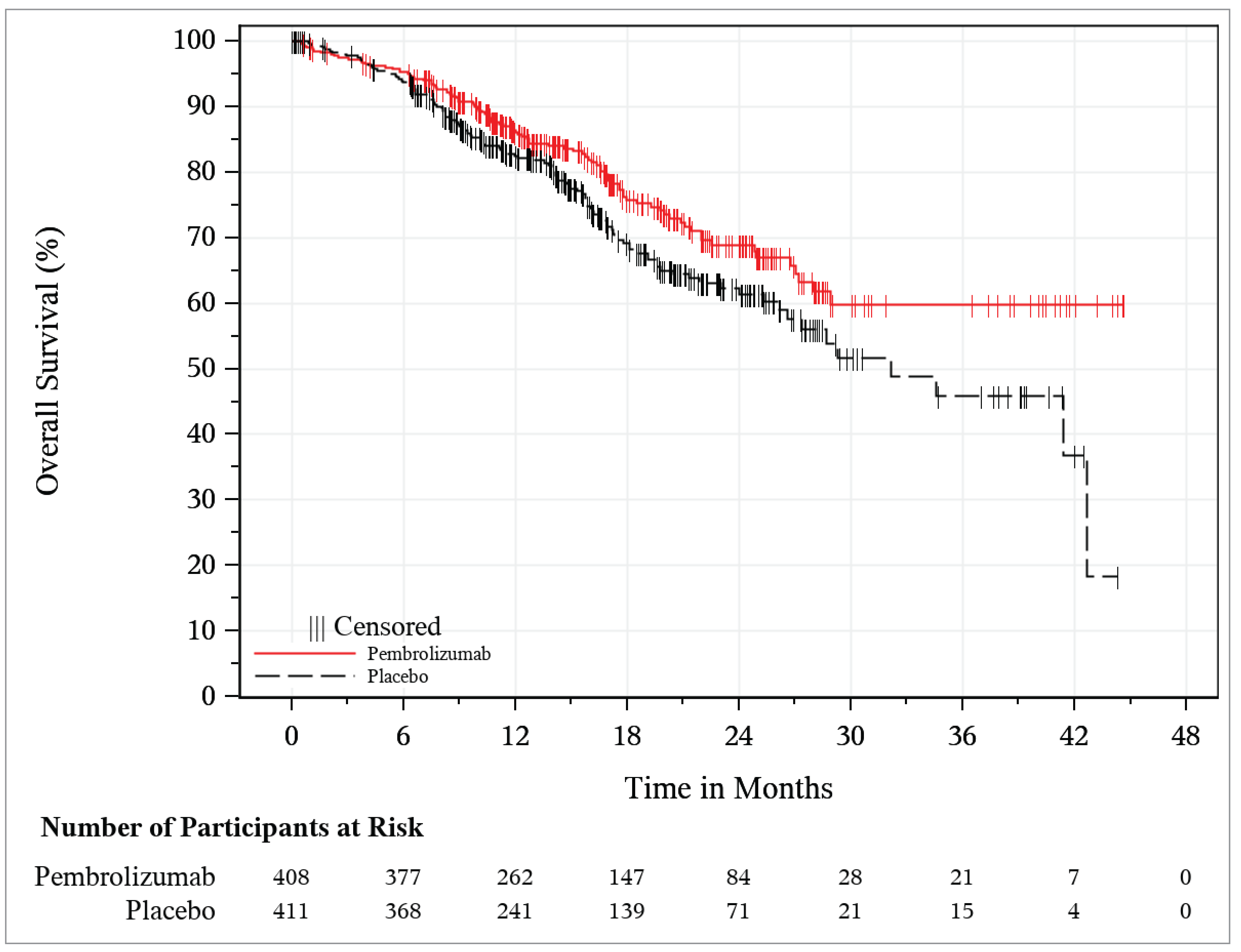 The KM curves begin to separate after approximately 6 months and remain separated thereafter in favour of pembrolizumab plus carboplatin-paclitaxel. Few patients remain at risk after 30 months.