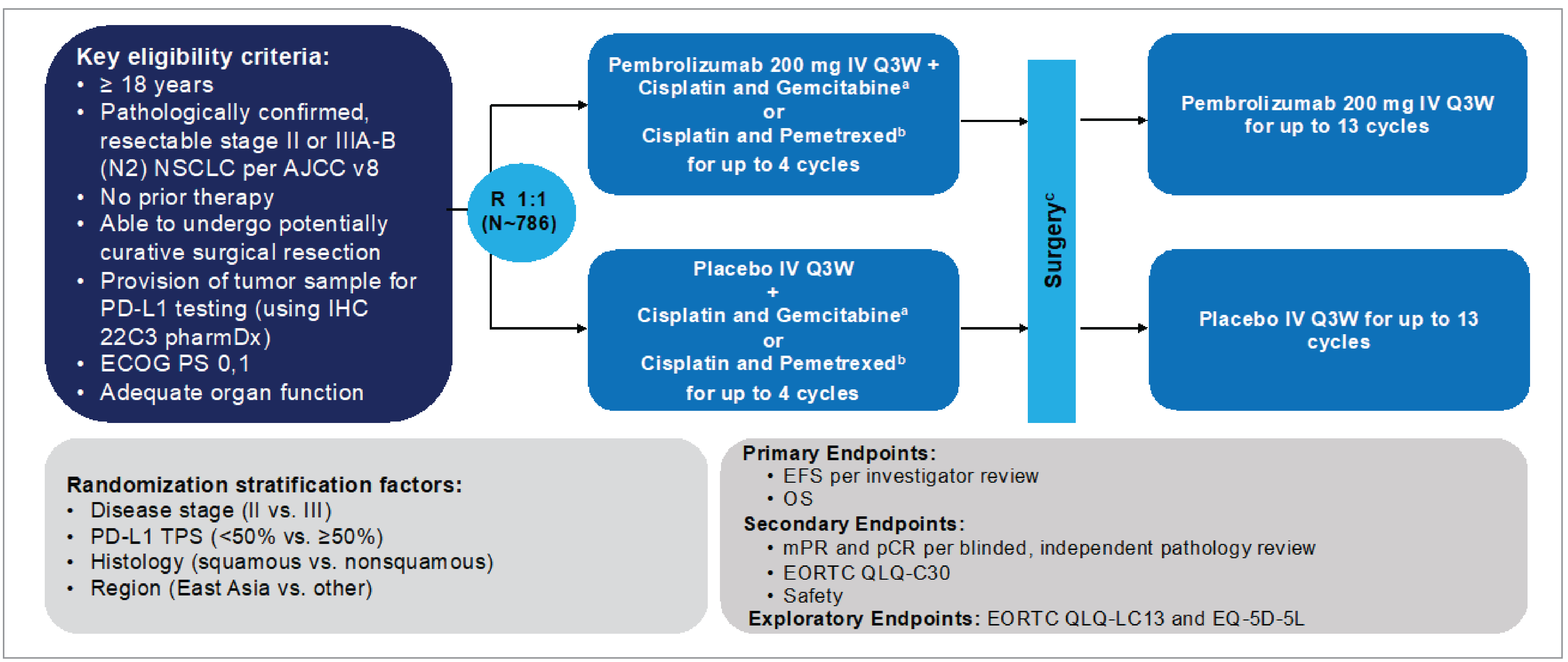 A flow diagram highlighting the KEYNOTE-671 trial from left to right and describing the randomization factors and end points in bubbles within the graphic.