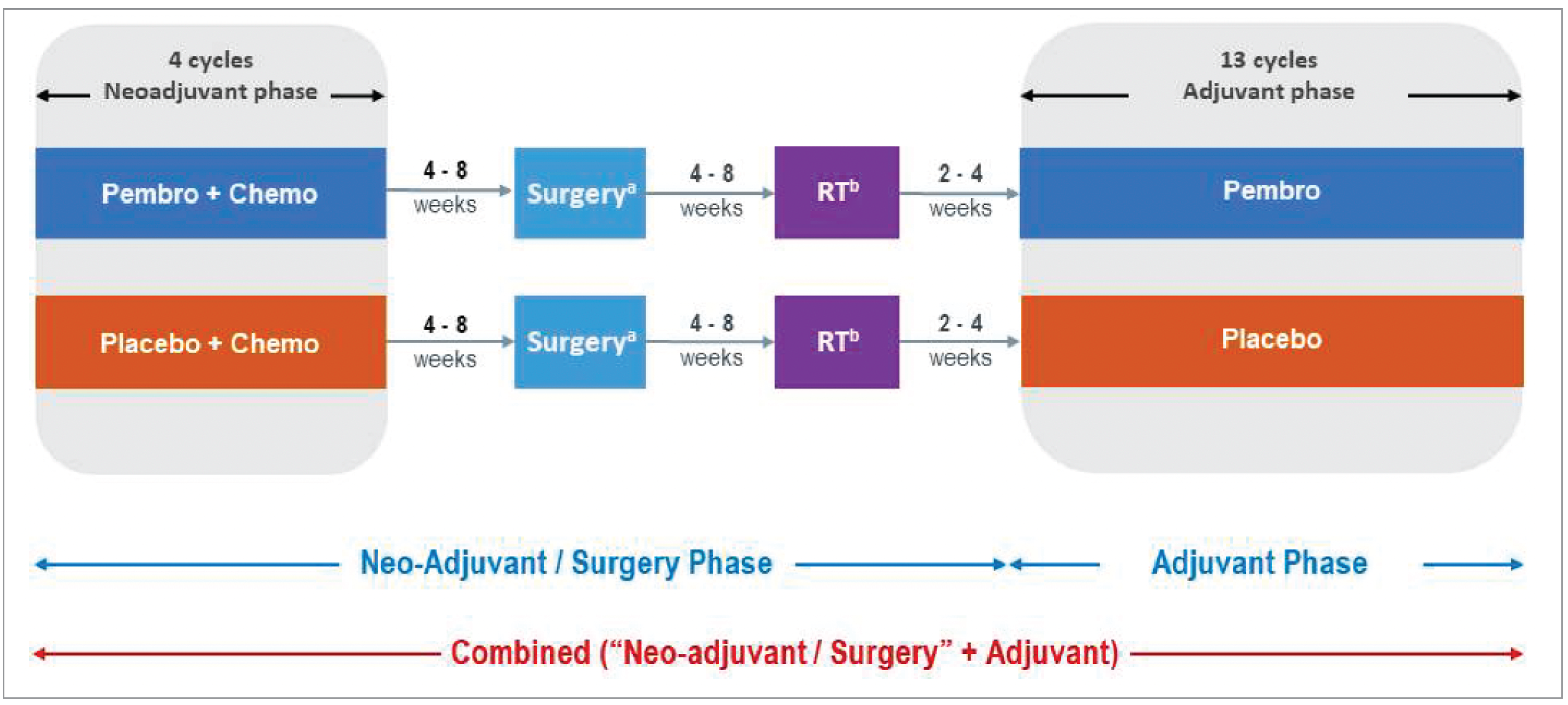 A flow diagram depicting the flow from left to right of the KEYNOTE-671 trial and describing the factors after randomization with surgery and radiotherapy (shown in the middle) and the continuation of 13 cycles in the adjuvant phase (shown to the right of the graphic).