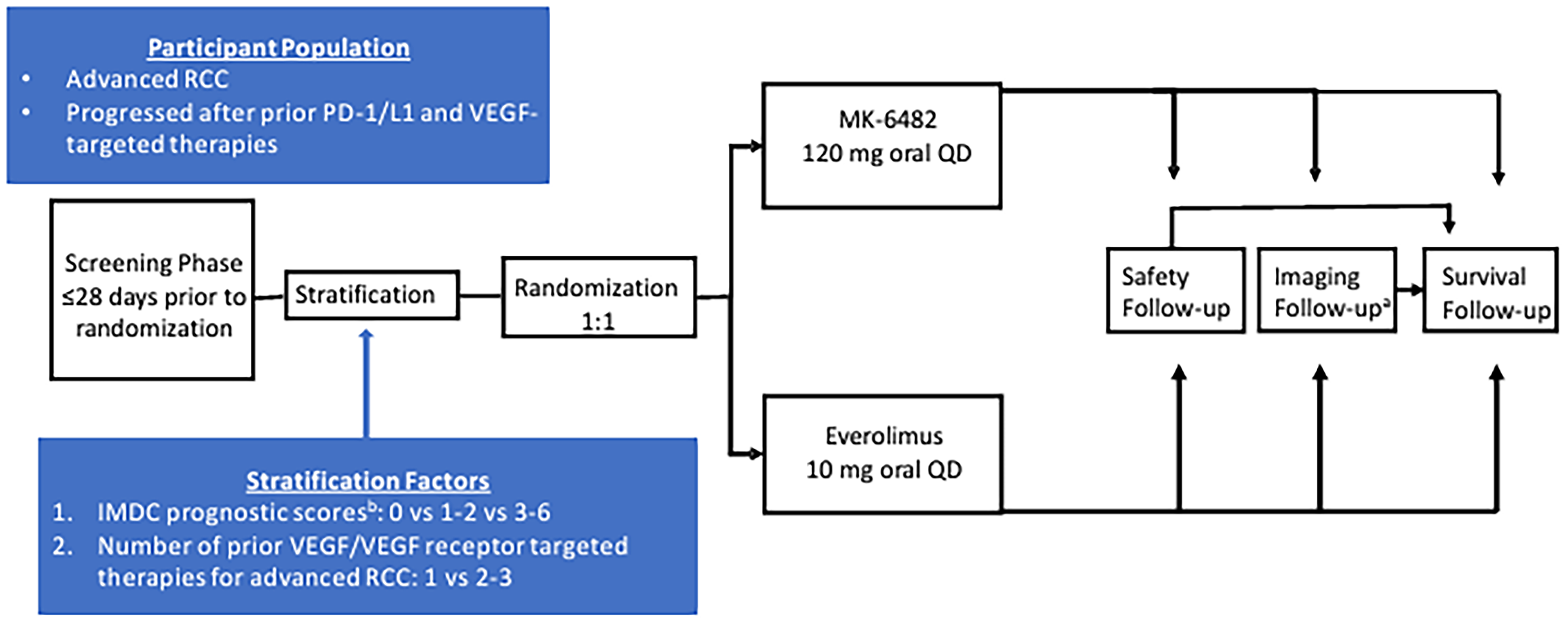 The LITESPARK-005 trial consists of 3 phases: screening, treatment, and follow-up. In the screening phase, patients provided written consent for study participation and were screened for eligibility within the 28 days before randomization. During the treatment phase, randomized patients received either belzutifan or everolimus until documented disease progression verified by blinded independent central review (BICR), unacceptable toxicity, or a decision was made to stop treatment. The posttreatment follow-up period included a posttreatment safety follow-up visit, which occurred 30 days after the discontinuation of the study intervention. Patients who discontinued study treatment for reasons other than BICR-verified disease progression continued with imaging assessments, per the protocol-defined schedule. After the verification of disease progression, all patients were followed for survival until death, withdrawal of consent, loss to follow-up, or the end of the study.