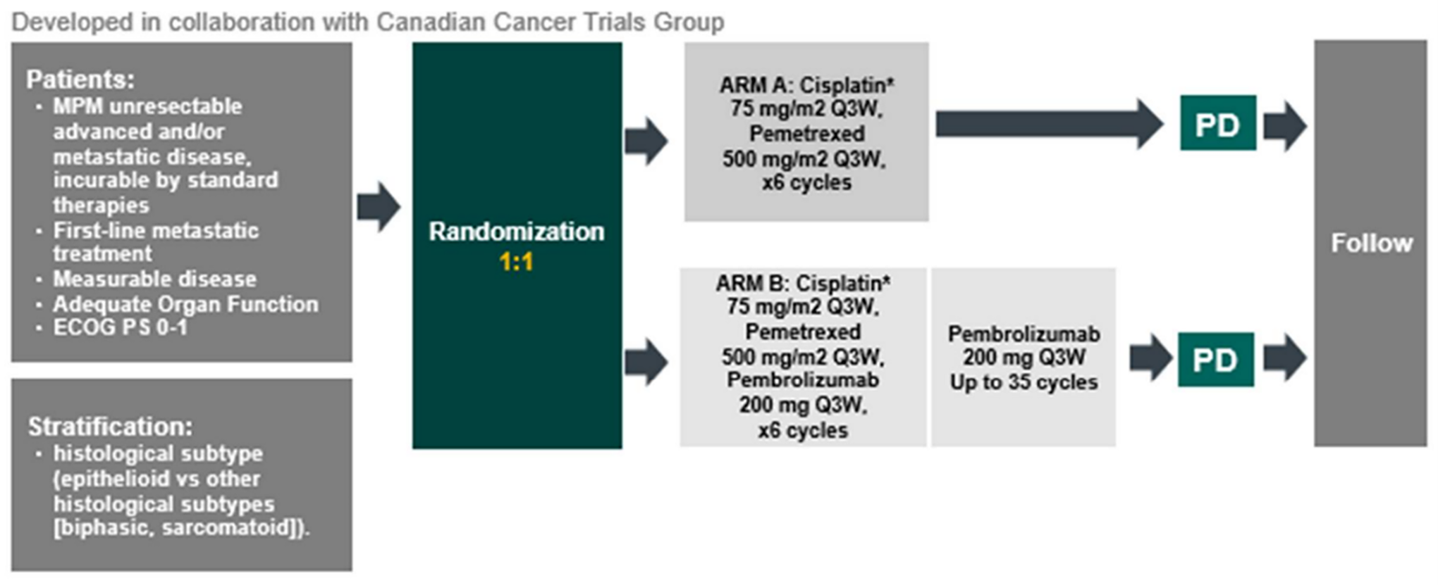 The flow diagram shows the study design of the KEYNOTE-483 trial. It includes key eligibility criteria, randomization ratio, stratification factors, treatment groups, outcomes, and study timeline. Patients with unresectable advanced or metastatic MPM were randomized in a 1:1 ratio. One group received pembrolizumab plus pemetrexed and cisplatin or carboplatin chemotherapy, while the other group received chemotherapy alone.