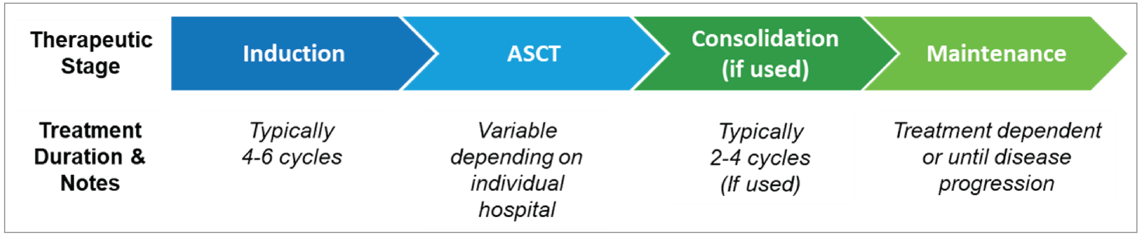A flow chart illustrating therapeutic stages and treatment durations in patients with TE NDMM. The stages include induction (typically 4 to 6 cycles), ASCT (duration varies by hospital), consolidation if used (typically 2 to 4 cycles), and maintenance (treatment-dependent or until disease progression).