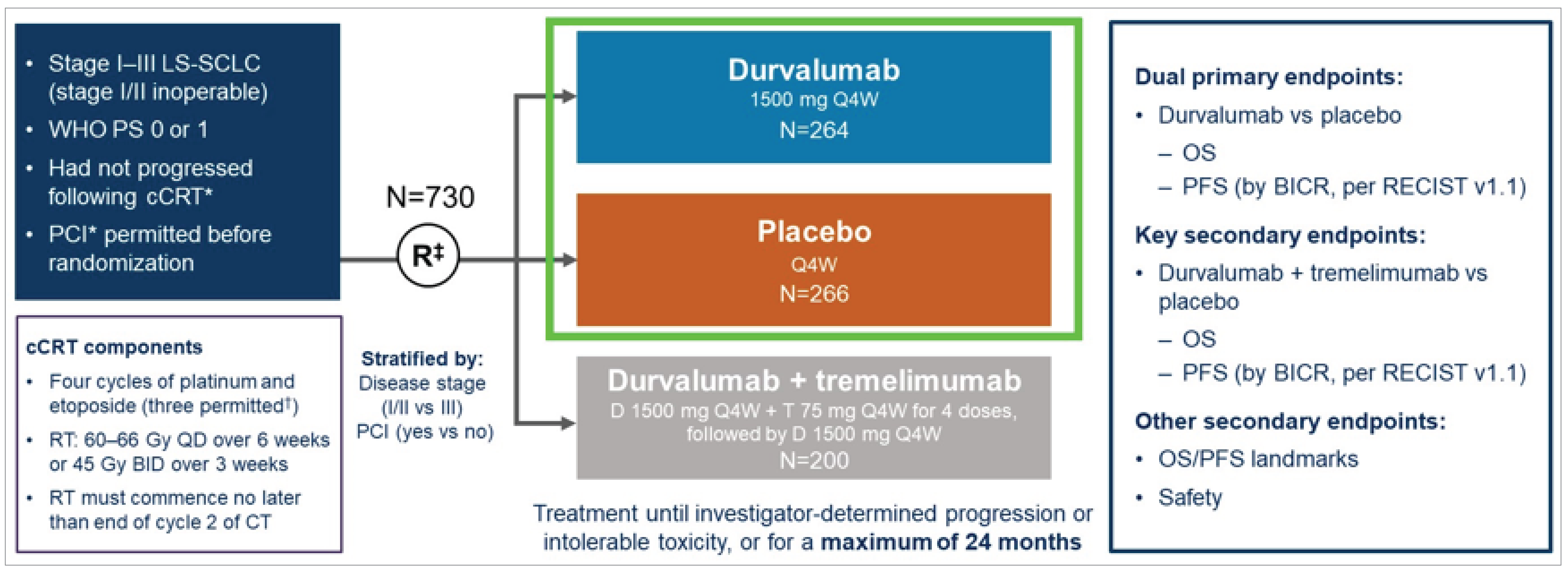 The trial randomized 730 patients with stage I to III LS-SCLC and WHO Performance Status 0 or 1 who had not progressed after concurrent CRT, stratified by disease stage, to receive durvalumab (n&nbsp;= 264), placebo (n&nbsp;= 266), or durvalumab plus tremelimumab (n&nbsp;= 200). Treatment continued until investigator-determined progression or intolerable toxicity, or for a maximum of 24 months. The dual primary end points for durvalumab versus placebo were OS and PFS (by BICR, per Response Evaluation Criteria in Solid Tumours version 1.1).