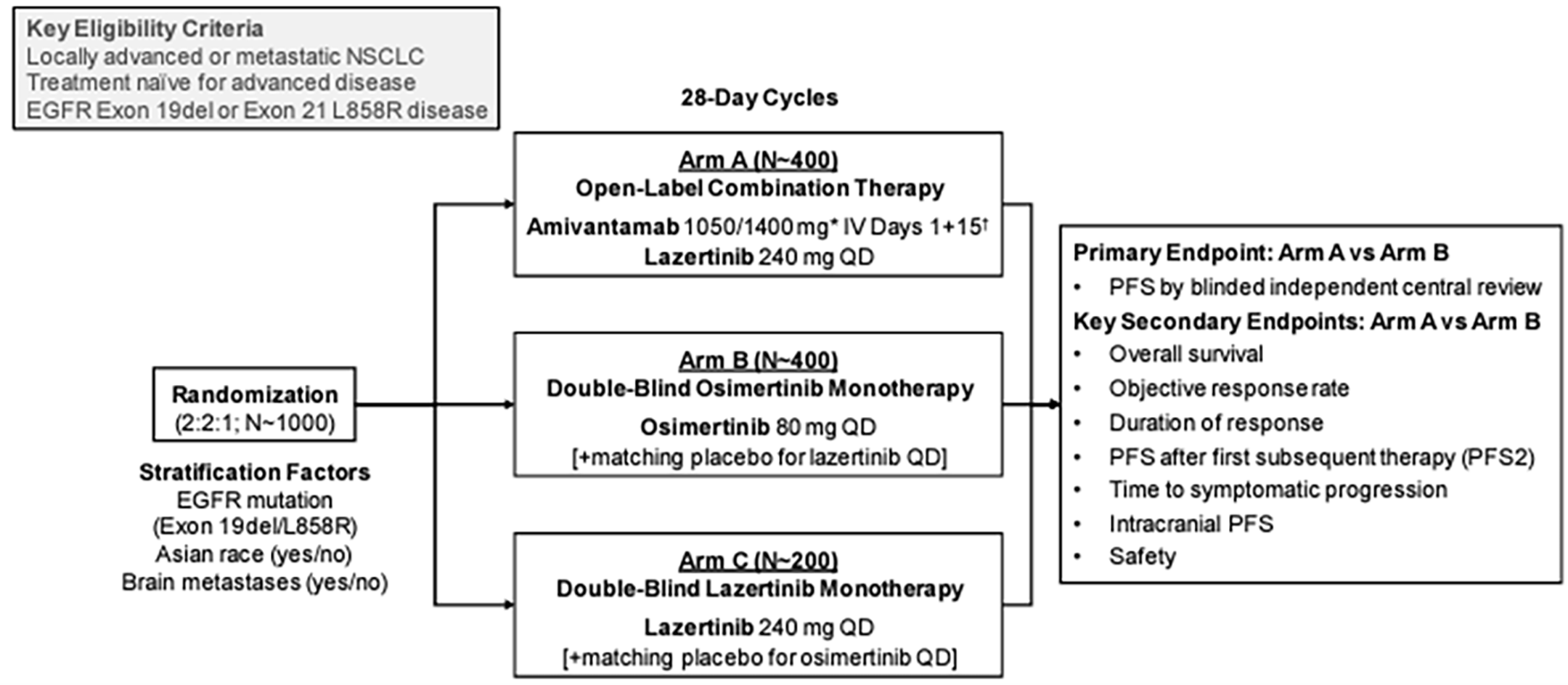 Patients were screened for the key eligibility criteria (locally advanced or metastatic NSCLC; treatment-naive advanced disease; EGFR exon 19 deletion or exon 21 L858R disease) then randomized 2:2:1 to arm A (open-label combination therapy with amivantamab 1,050 mg or 1,400 mg if body weight ≥ 80 kg plus lazertinib 240 mg daily), arm B (double-blind osimertinib 80 mg daily plus matching placebo for lazertinib), or arm C (double-blind lazertinib 240 mg daily plus matching placebo for osimertinib). Treatments were split into 28-day cycles and continued until the primary end point of progression-free survival, or secondary end points of overall survival, objective response rate, duration of response, progression-free survival after first subsequent therapy, time to subsequent therapy, or intracranial progression-free survival were reached. Randomization was stratified on EGFR mutation, being of Asian descent, and the presence of brain metastases.