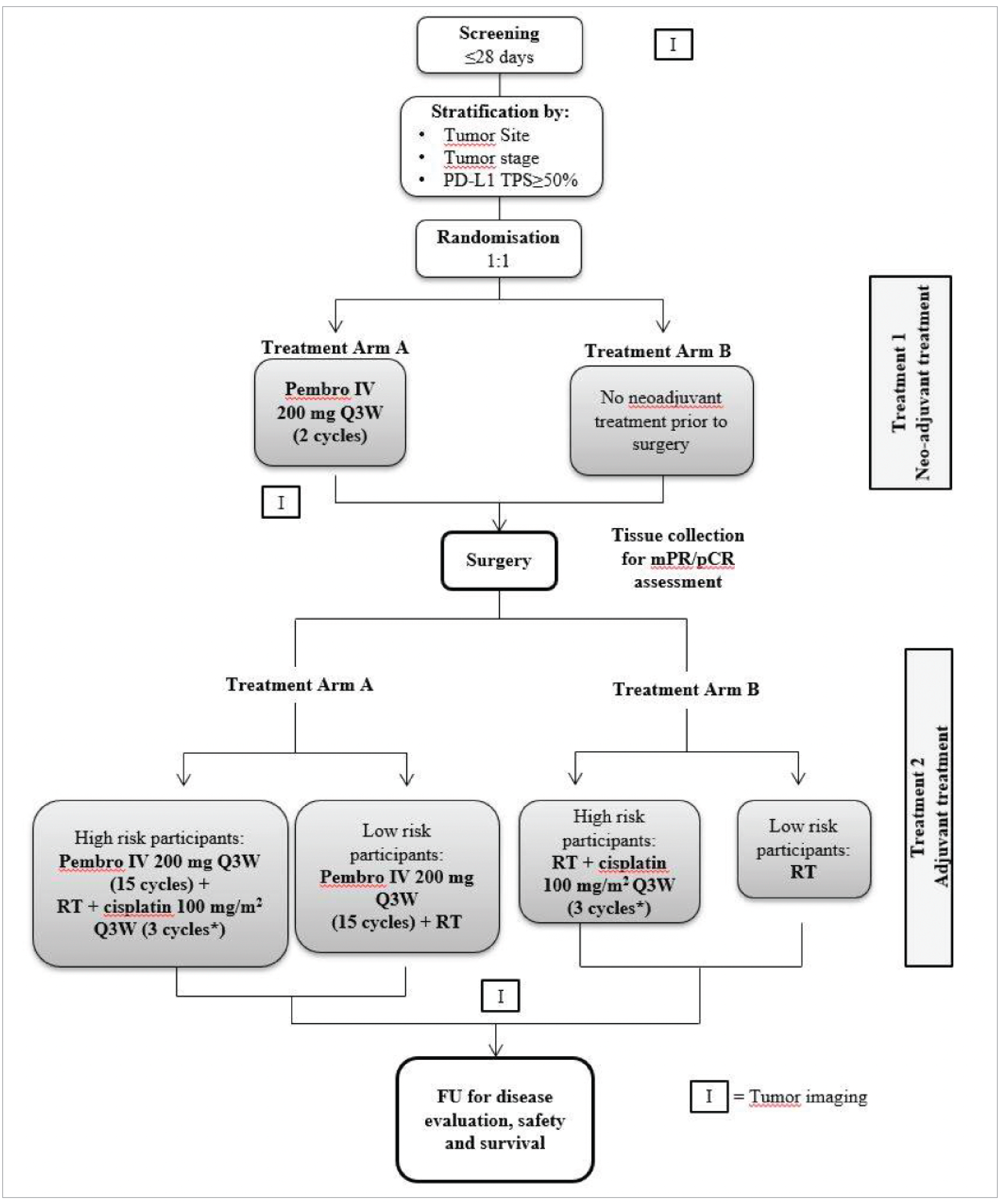 The figure illustrates the study design of the KEYNOTE-689 trial. Patients were randomized in a 1:1 ratio to receive pembrolizumab as neoadjuvant therapy (for 2 cycles), followed by postsurgical (adjuvant) treatment combining pembrolizumab (for 15 cycles) and standard of care (RT with or without cisplatin) followed by pembrolizumab monotherapy (treatment arm A) or standard of care alone (treatment arm B). After surgical resection, pathological risk categorization of patients as either high or low risk was completed based on assessment of the surgically resected specimens from the primary tumour site and neck lymph nodes. High-risk patients, defined as those with positive margins or extranodal extension following surgical resection, received standard of care and cisplatin (100 mg per square metre of body surface area every 3 weeks for duration of RT). Low-risk patients, defined as those with clear margins and no extranodal extension following surgical resection, received standard of care RT. Randomization was stratified by primary tumour site (oropharynx or oral cavity versus larynx versus hypopharynx), tumour stage (III versus IVA), and PD-L1 status (TPS ≥&nbsp;50% versus TPS <&nbsp;50%).