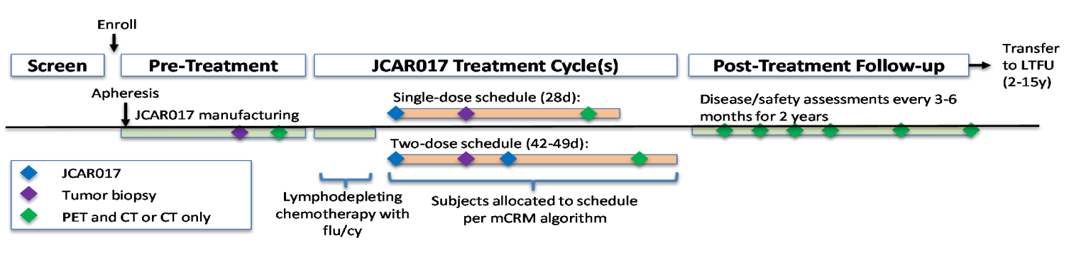 This figure depicts the TRANSCEND NHL001 study from screening of patients to enrolment, pre-treatment, treatment, and follow-up.